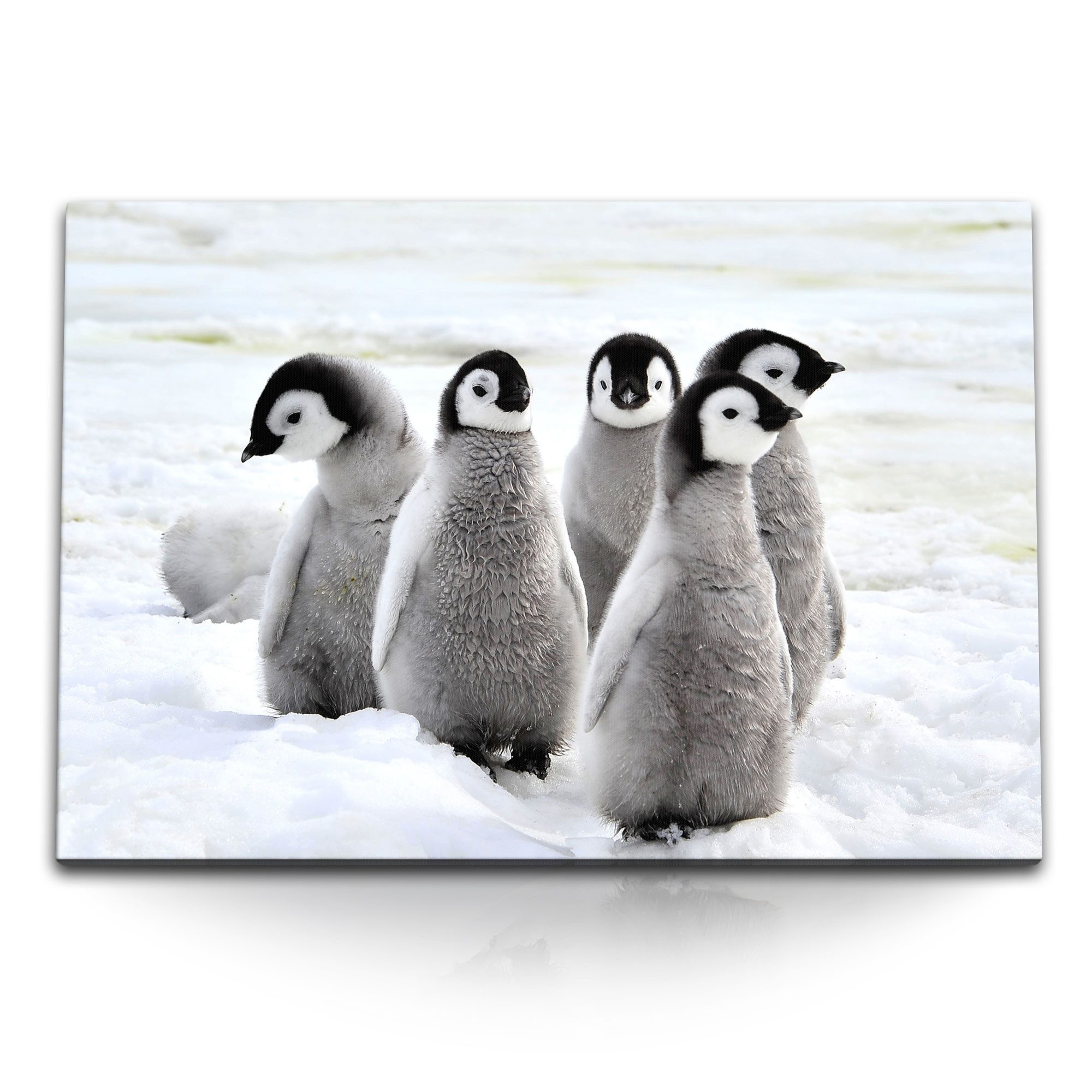 Sinus Art Leinwandbild 120x80cm Wandbild auf günstig online kaufen
