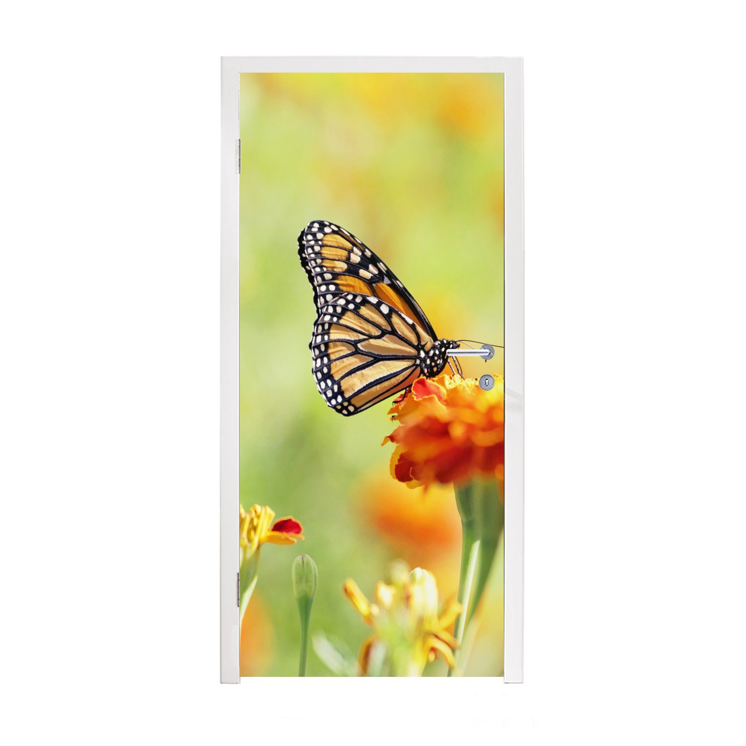 MuchoWow Türtapete Monarchfalter auf Blüte, Matt, bedruckt, (1 St), Fototapete für Tür, Türaufkleber, 75x205 cm