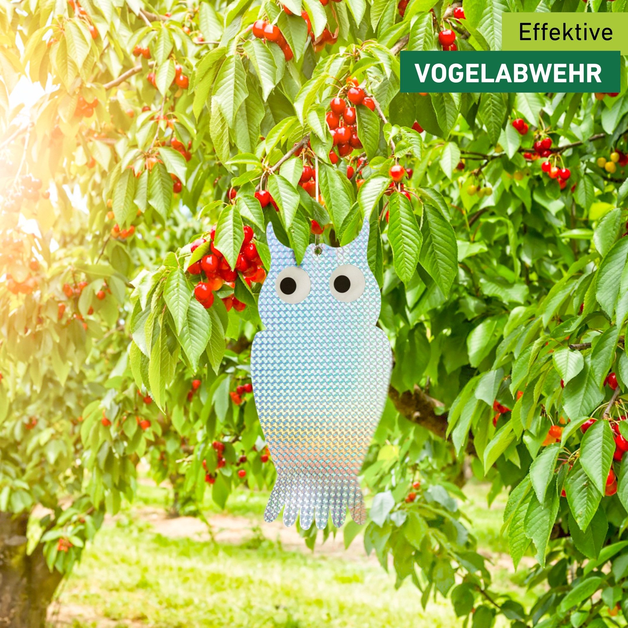 Windhager Vogelattrappe Reflektor aus Kunststoff, Vogelabwehr im Doppelpack, (Set, 2-St), reflektierende Vogelschreck Eule, silber