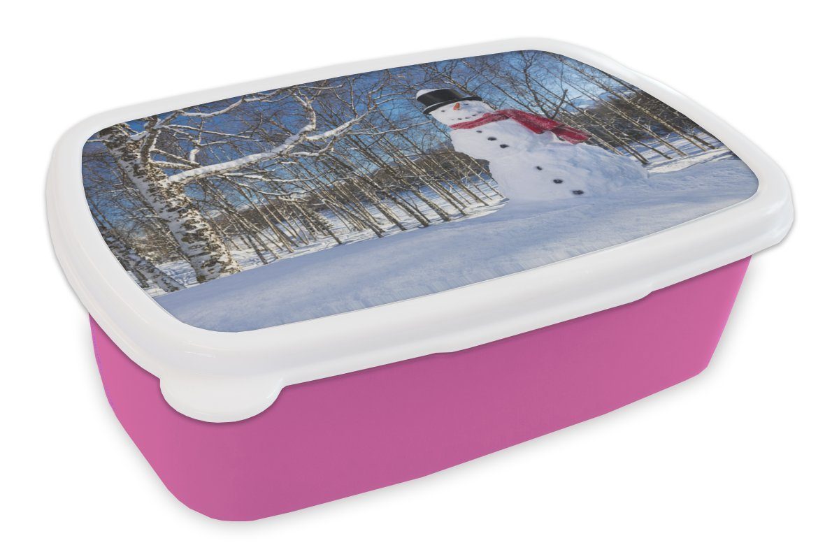MuchoWow Lunchbox Eine verschneite Puppe in der Nähe von Anchorage in Alaska zu, Kunststoff, (2-tlg), Brotbox für Erwachsene, Brotdose Kinder, Snackbox, Mädchen, Kunststoff rosa | Lunchboxen