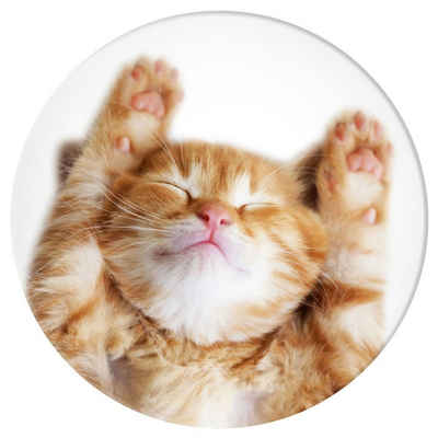 Popsockets PopGrip Basic - Snoozy Cat Popsockets