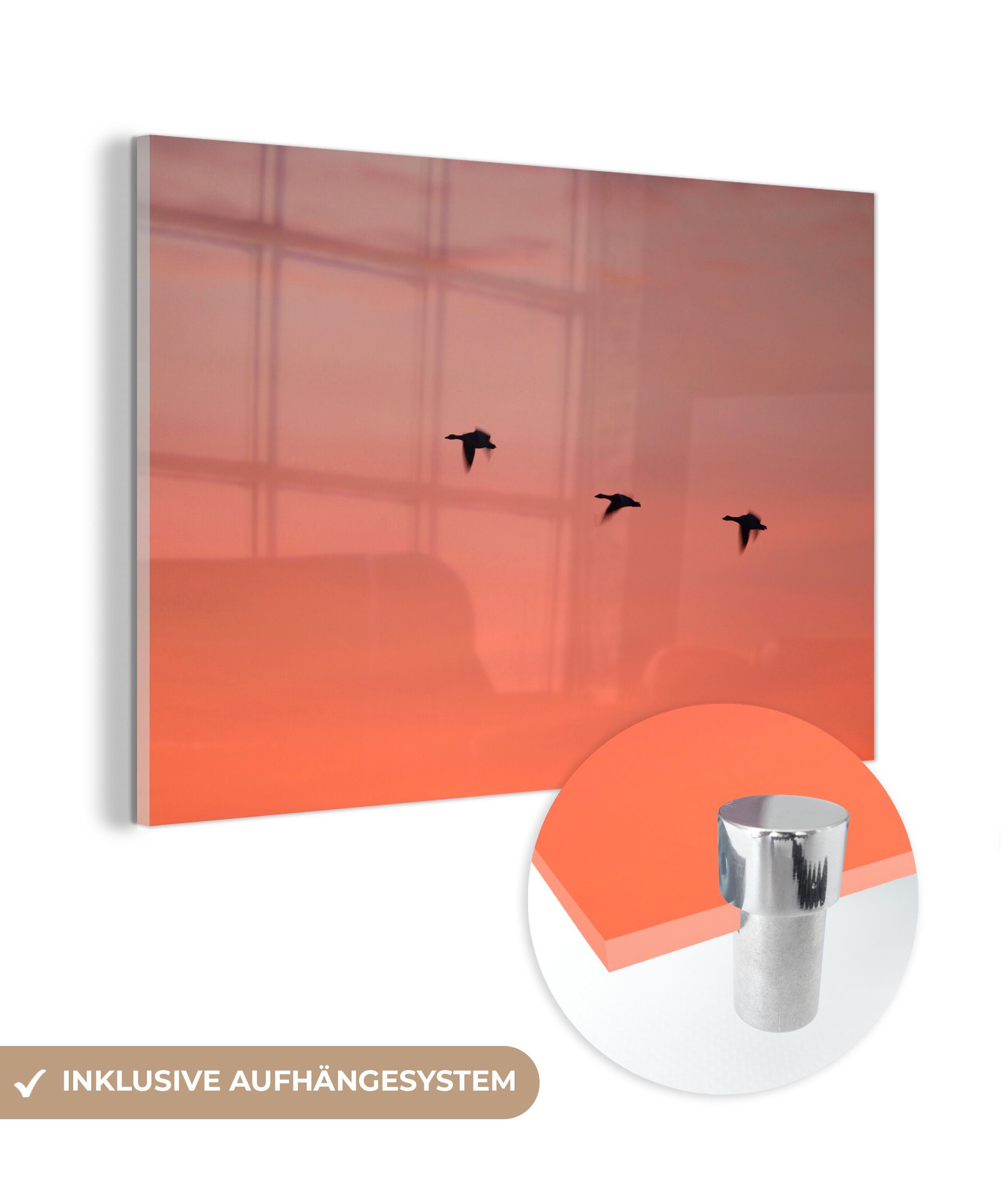 MuchoWow Acrylglasbild Gänse - Himmel - Rot, (1 St), Acrylglasbilder Wohnzimmer & Schlafzimmer