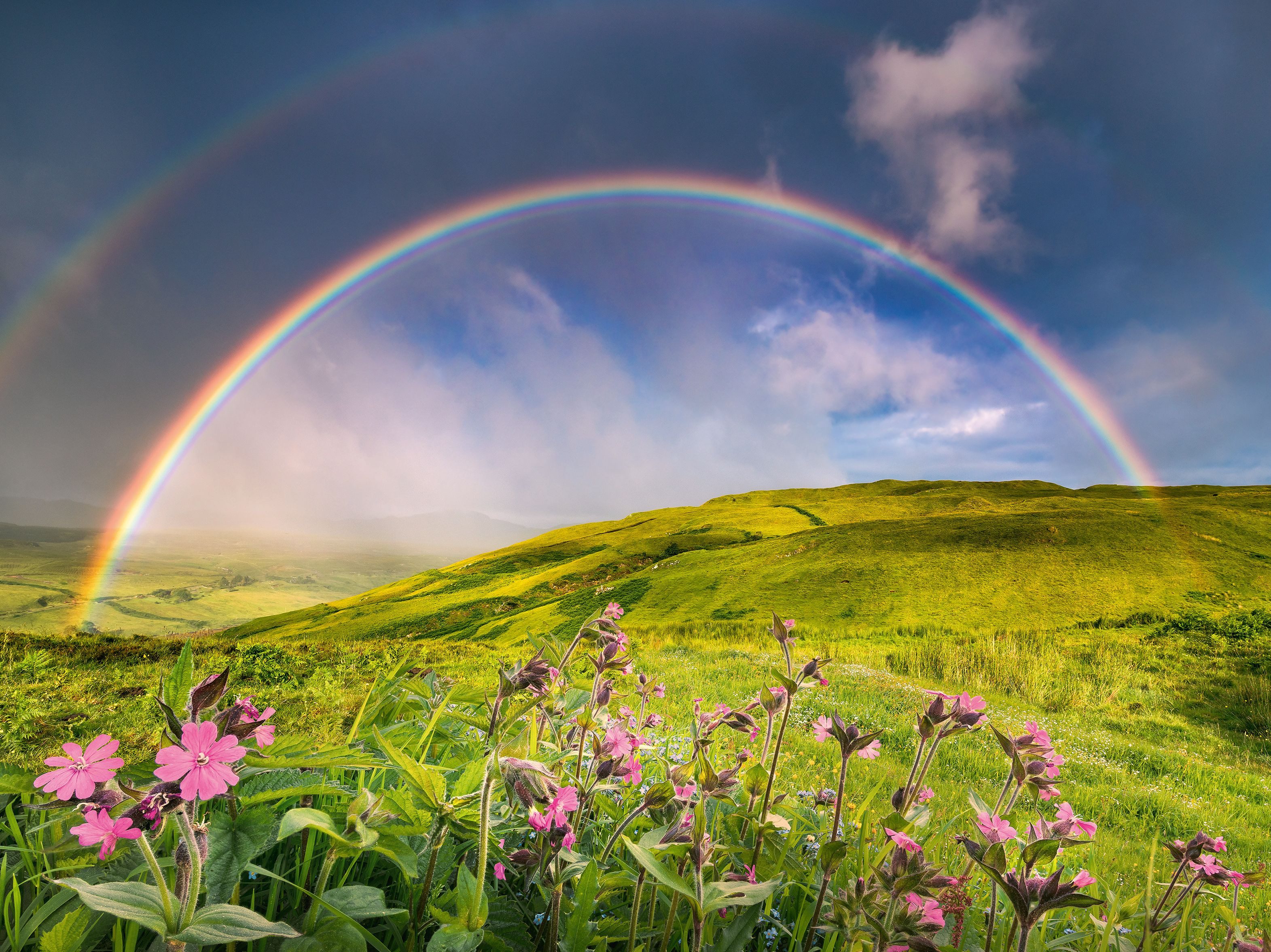 Ravensburger Puzzle power of nature, Spektakulärer Regenbogen, 1500 Puzzlet günstig online kaufen