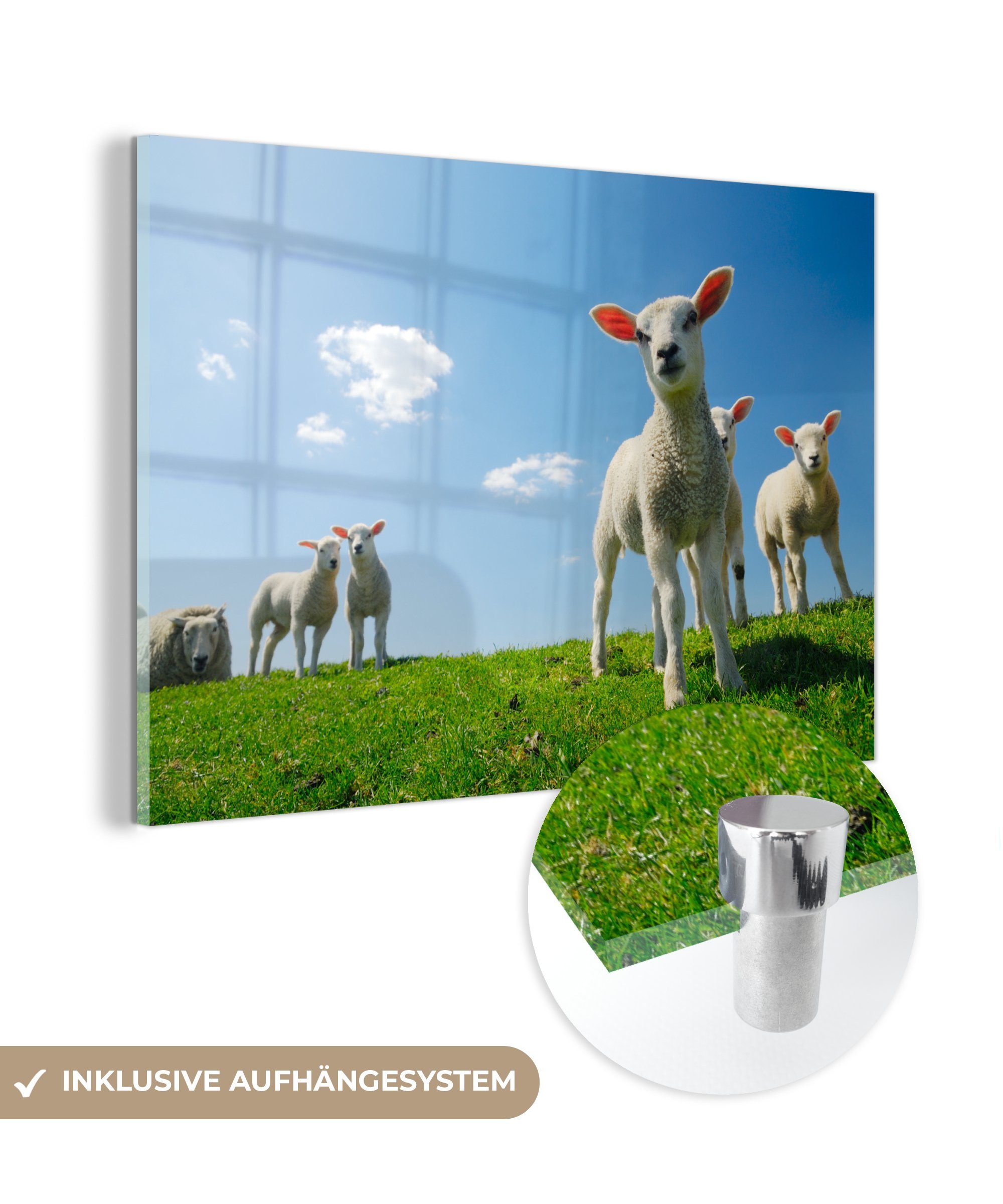 MuchoWow Acrylglasbild Schafe - Frühling - Landschaft, (1 St), Acrylglasbilder Wohnzimmer & Schlafzimmer | Bilder