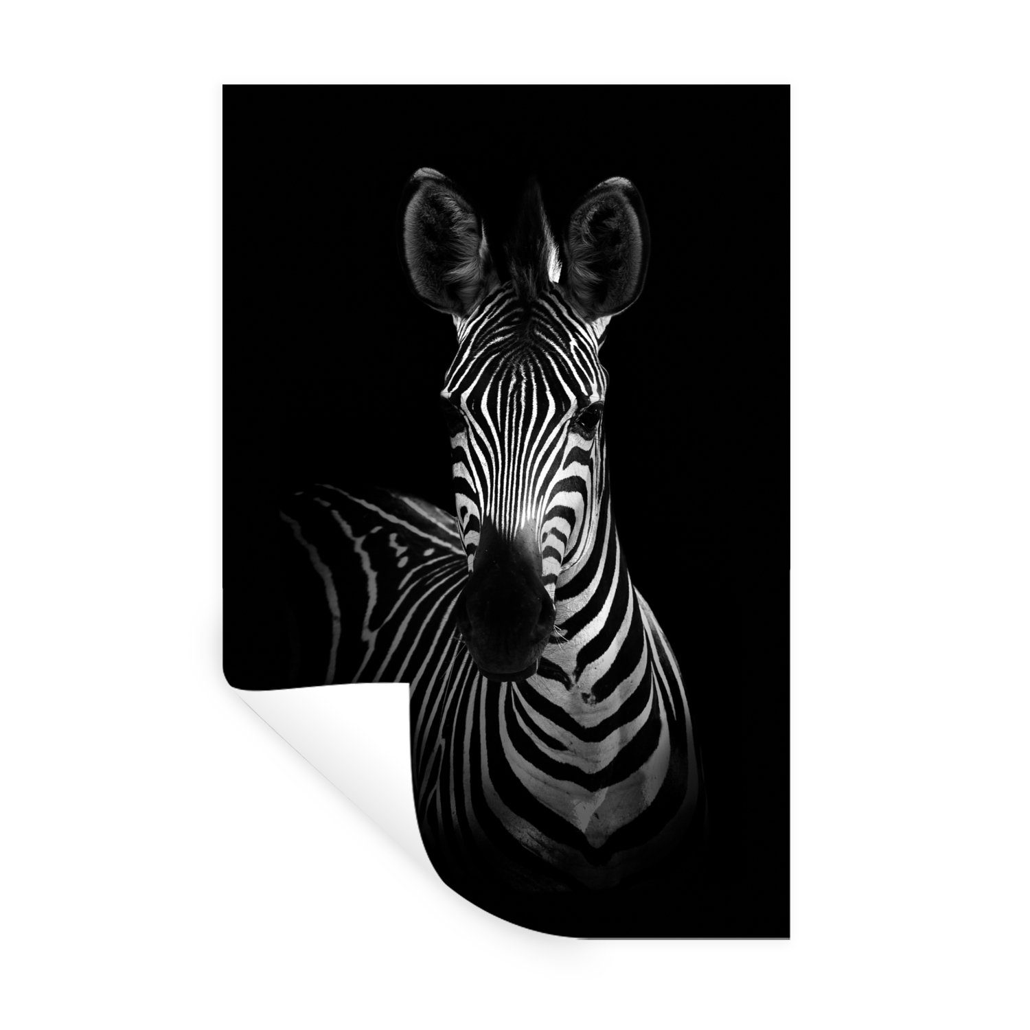 MuchoWow Wandsticker Zebra - Tiere - Safari - Schwarz (1 St), Wandaufkleber, Wandtattoo, Selbstklebend, Wohnzimmer, Schlafzimmer