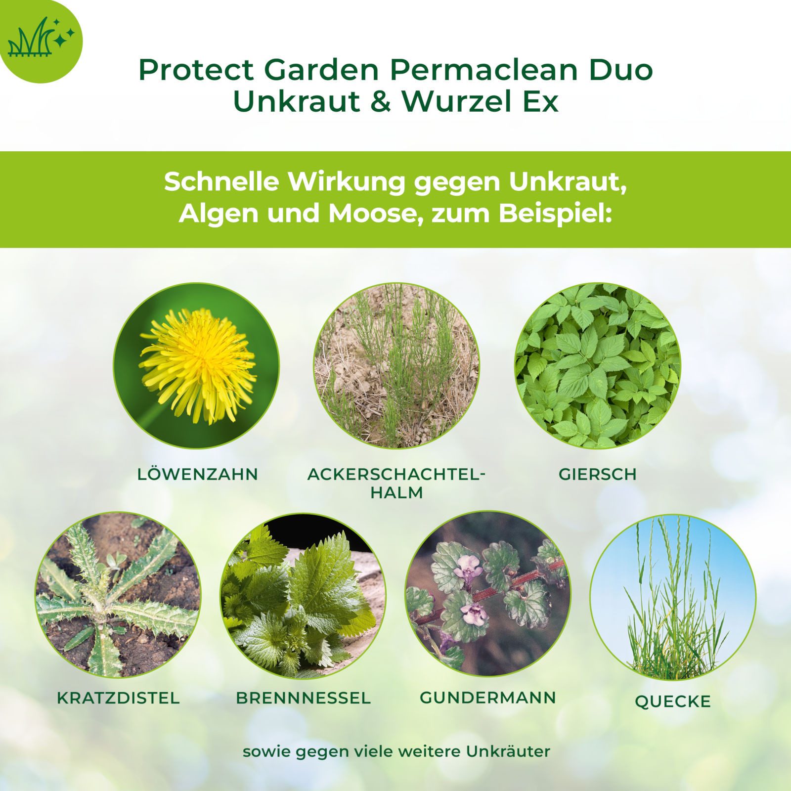 Protect Garden Unkrautbekämpfungsmittel Permaclean Duo Unkraut & Wurzel-Ex, 1 Liter, 1000 ml