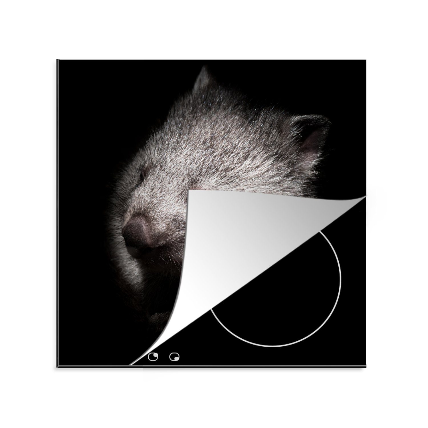 MuchoWow Herdblende-/Abdeckplatte Ein Schwarz-Weiß-Porträt eines Wombats, Vinyl, (1 tlg), 78x78 cm, Ceranfeldabdeckung, Arbeitsplatte für küche