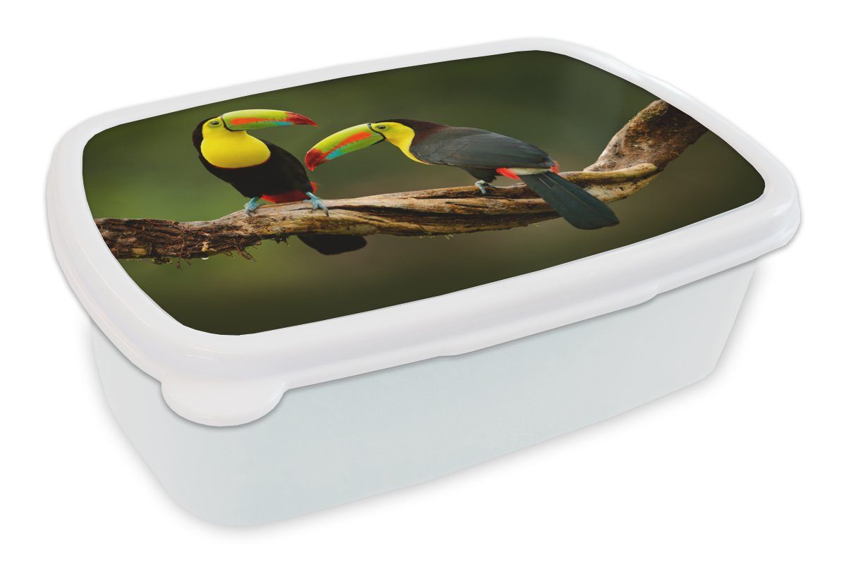 MuchoWow Lunchbox Vögel - Tukan - Zweig - Tiere - Regenbogen, Kunststoff, (2-tlg), Brotbox für Kinder und Erwachsene, Brotdose, für Jungs und Mädchen weiß | Lunchboxen
