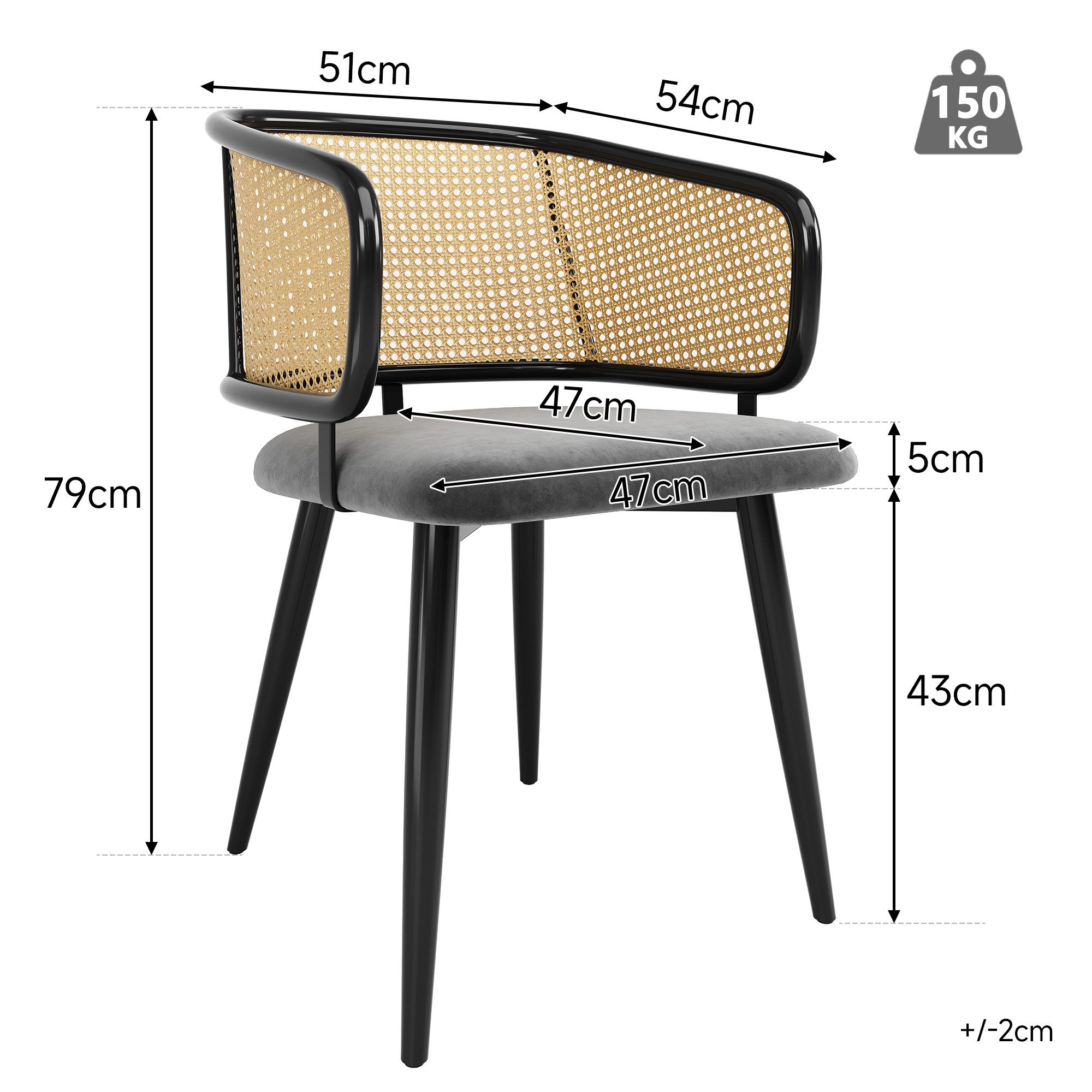 Flieks Esszimmerstuhl (Set, Eisengestell, 2 St), 2er Set Polsterstühle mit Armlehnen Rattanstuhl Samt Wohnzimmer