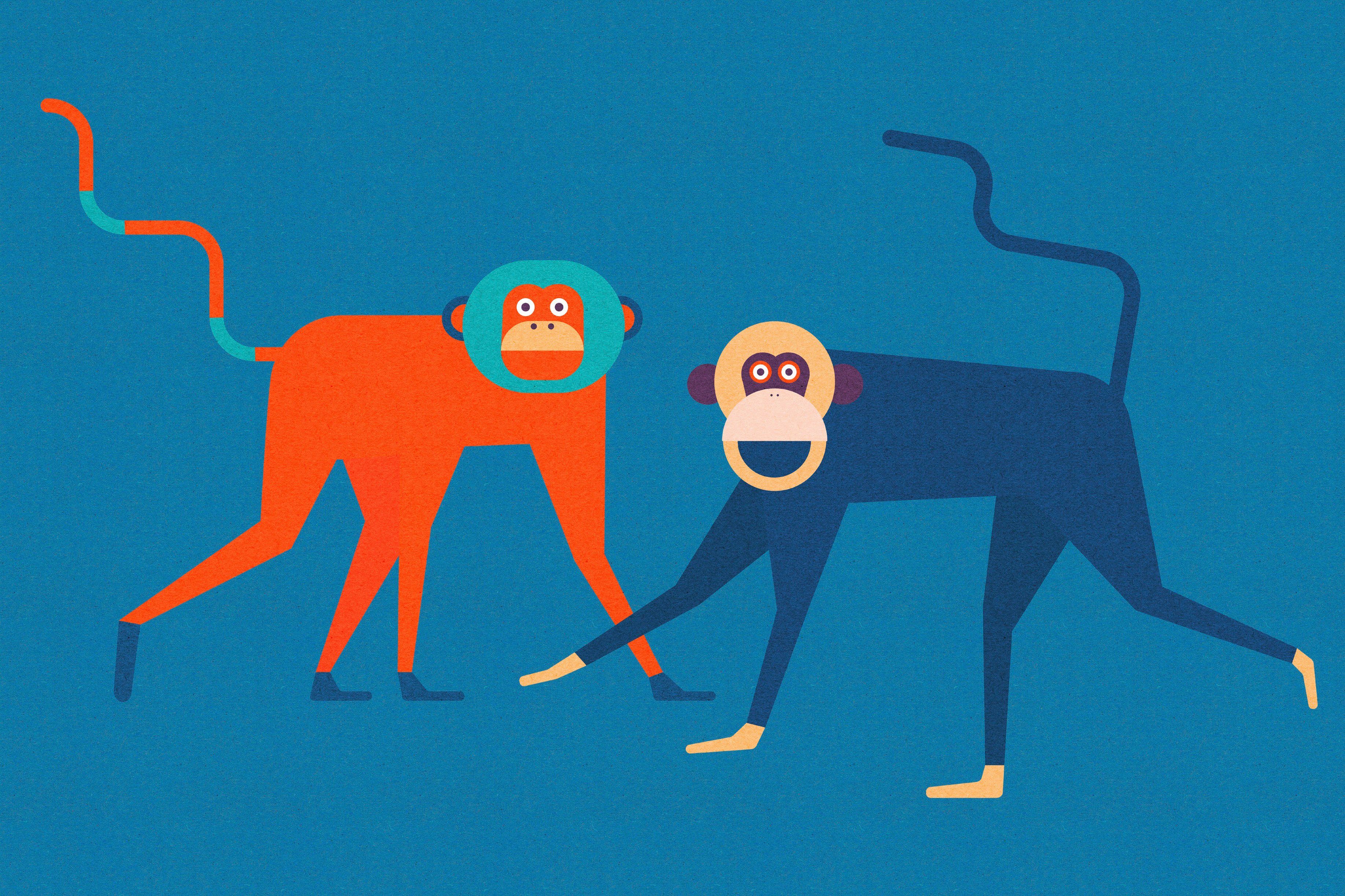 monkey blau, Leinwandbild Keilrahmen Tiere business, St), orange (1 A.S. Bild Création Kunst Affen Bunt