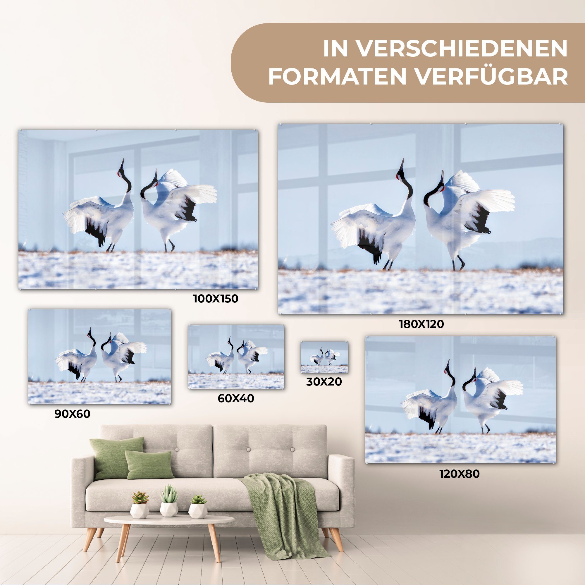 - Winter, MuchoWow & Acrylglasbild Schlafzimmer (1 Vögel Schnee Acrylglasbilder Wohnzimmer St), -