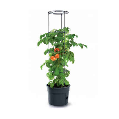 Pflanzkübel IPOM400-S433, Topf für Tomatenpflanze 28L Tomatenzüchter