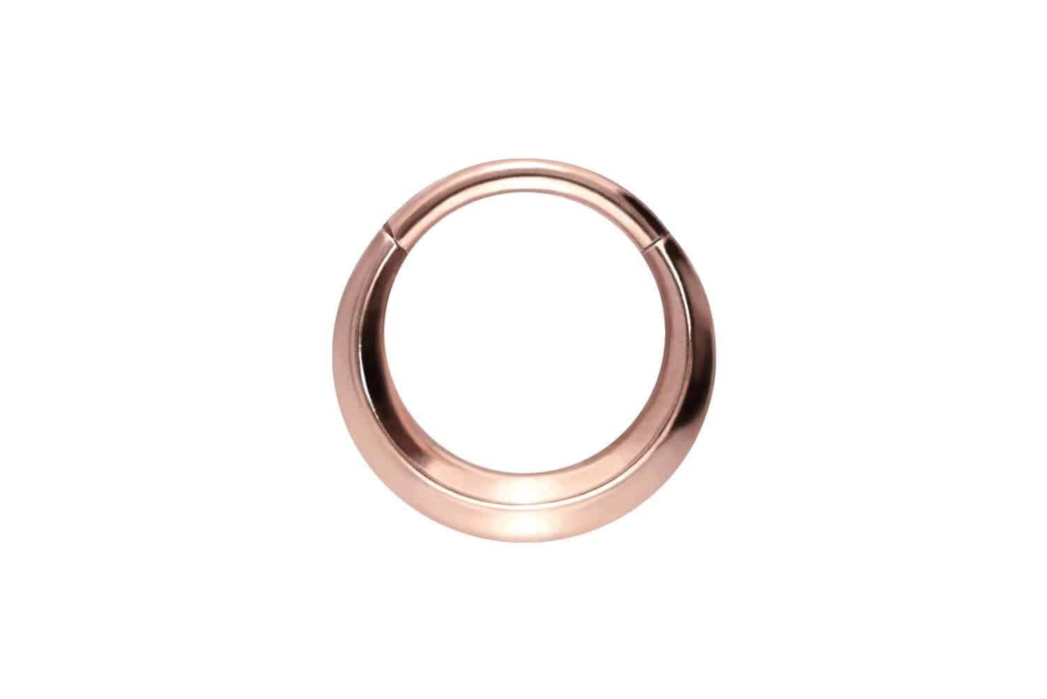 Nasenpiercing Titan Segmentring Clicker FLACH Ohrpiercing Septum Nase