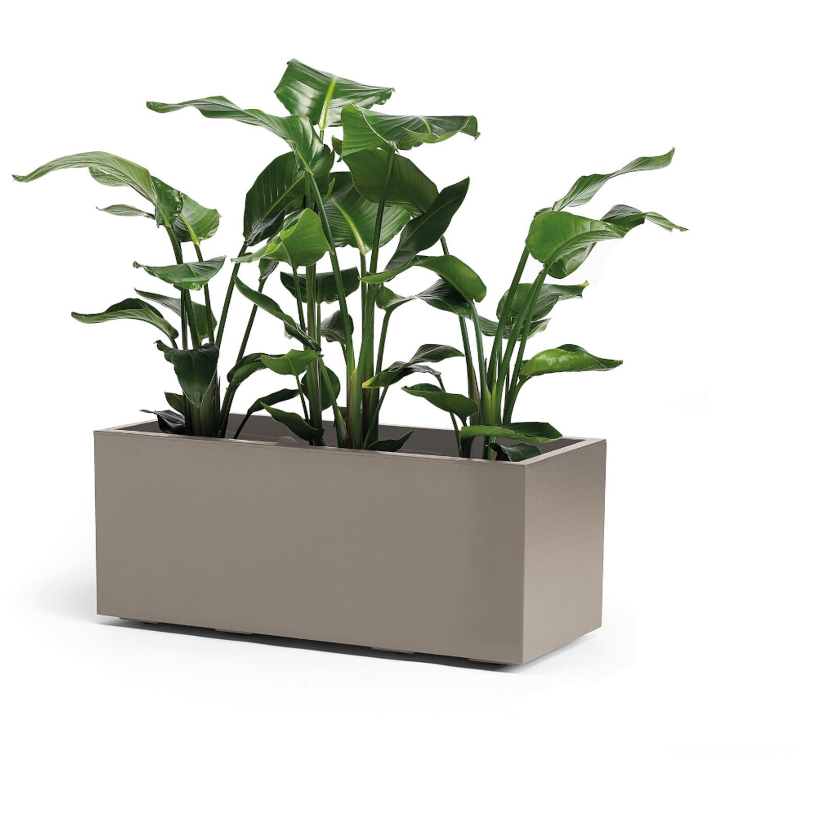euro3plast Pflanzkübel Pflanzkasten GREENER KEBE 100 cm taupe mit Rollen