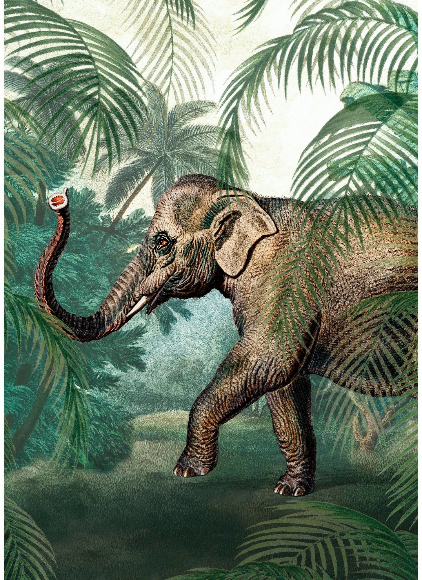 Superfresco Easy Fototapete Elefant, glatt, animal print, (1 St), 280x200cm