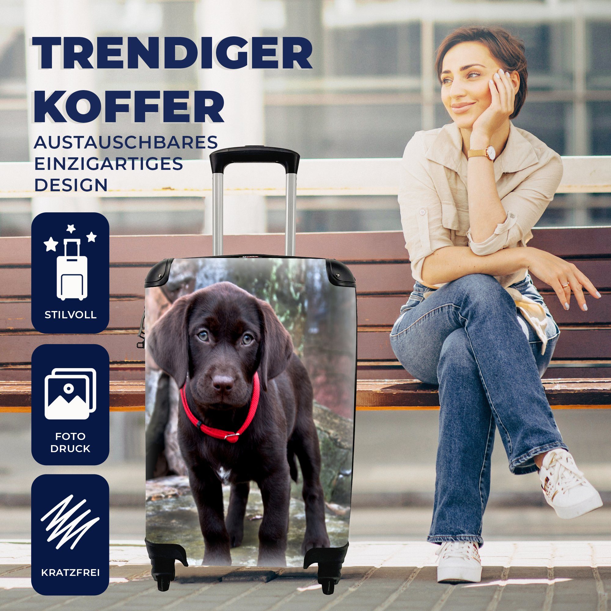 Welpen, Ein braunen Trolley, Porträt mit Reisekoffer für 4 Reisetasche Handgepäckkoffer MuchoWow rollen, Rollen, Handgepäck eines Ferien,