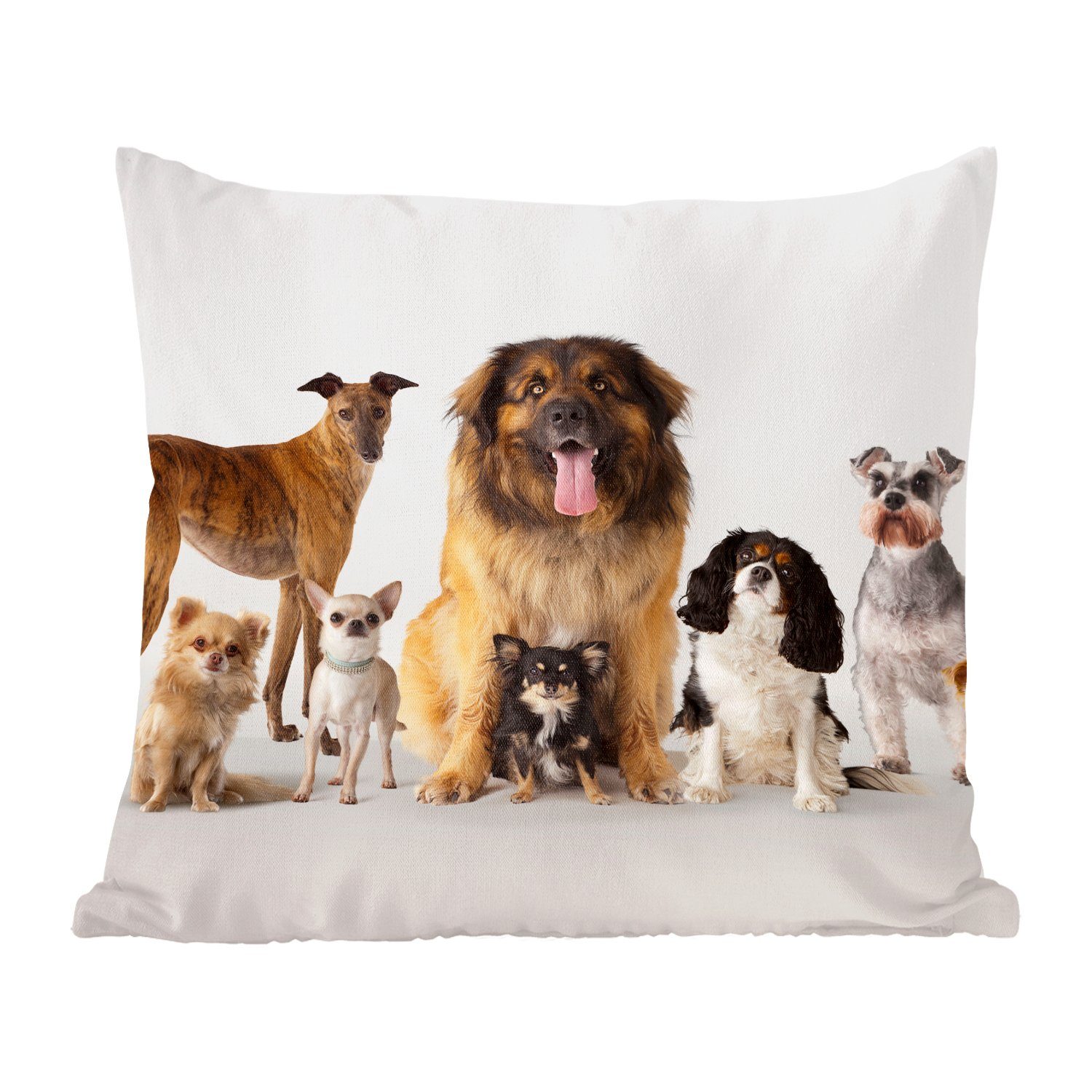 MuchoWow Dekokissen Gruppenbild von Hunden, Zierkissen mit Füllung für Wohzimmer, Schlafzimmer, Deko, Sofakissen