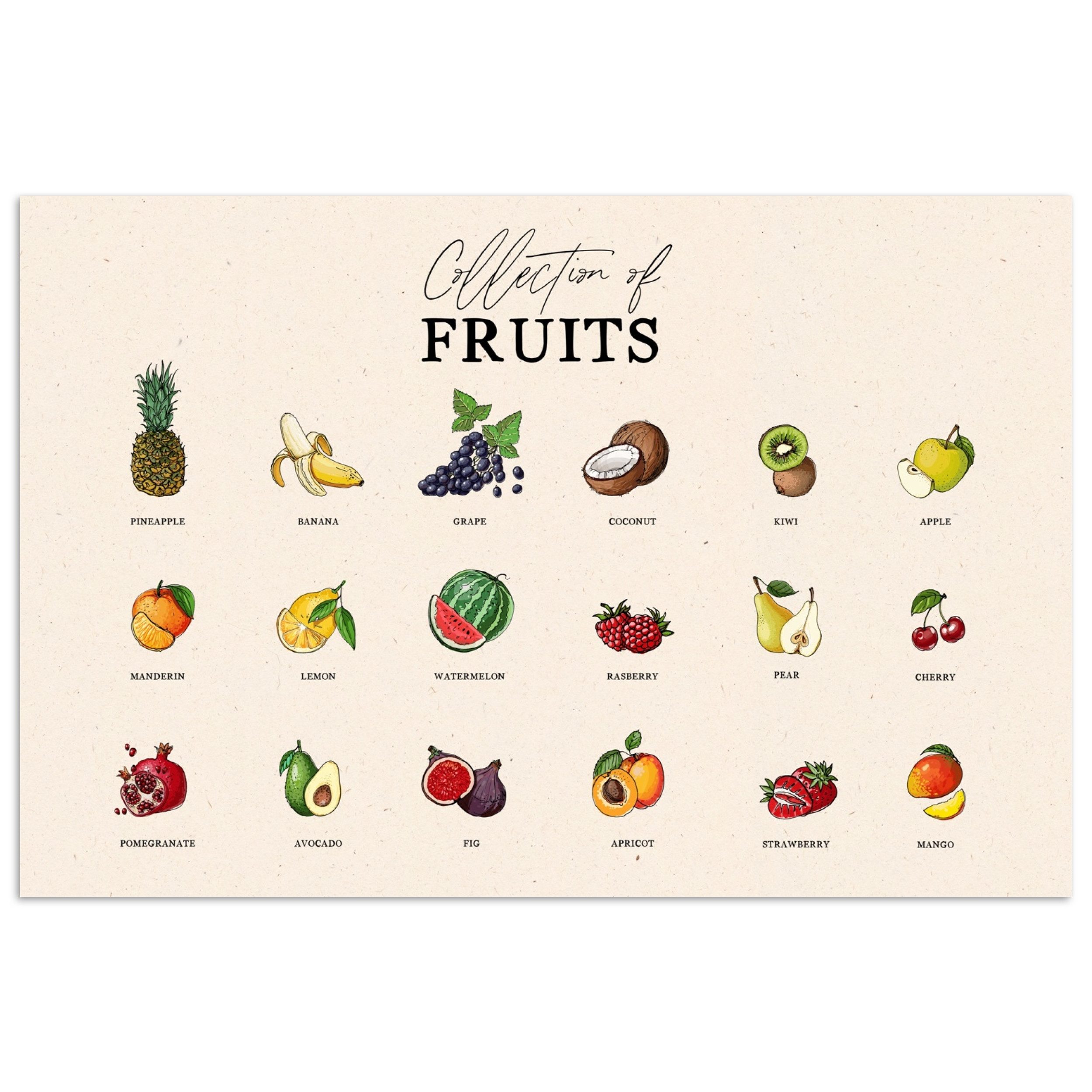 MuchoWow Poster Obstsorten - Farbenfroh - günstig online kaufen