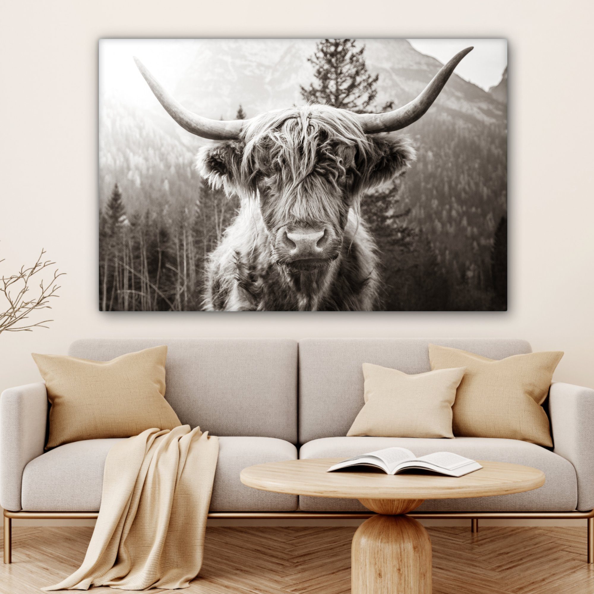 - großes, - 120x80 - alle Schottischer Gemälde, Wohnbereiche, - (1 XXL, Highlander St), Wandbild Tiere Kuh OneMillionCanvasses® Weiß, cm Leinwandbild für Schwarz