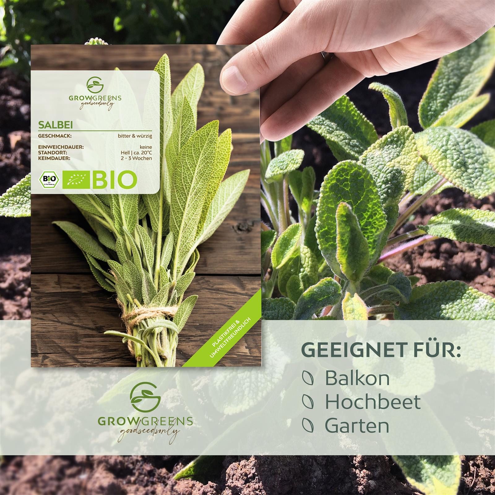 Growgreens Kräutersamen BIO Salbei Samen - Heilkräuter Saatgut aus bio. Anb günstig online kaufen