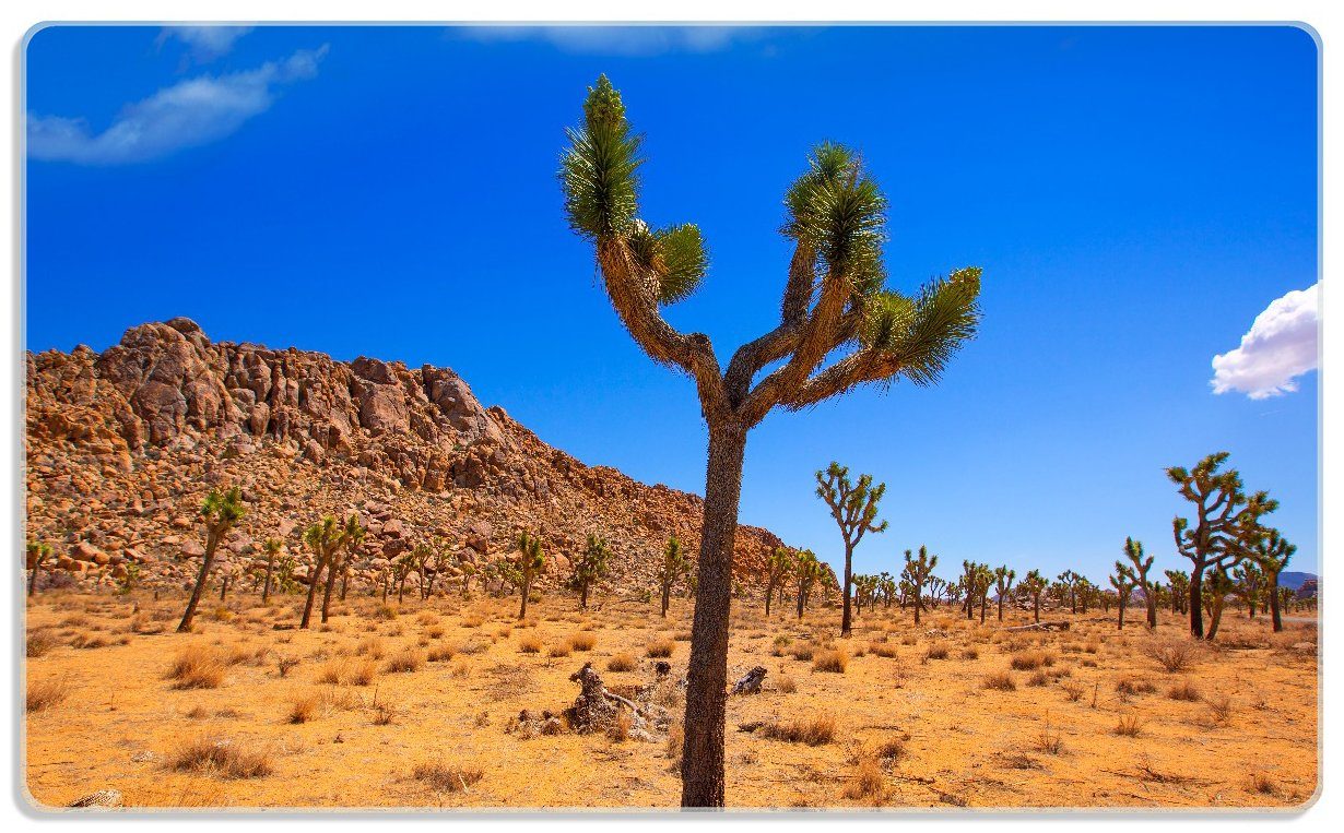 ESG-Sicherheitsglas, Valley  im 14x23cm (inkl. Wallario Palmlilie Nationalpark Wüstenlandschaft, 4mm, Frühstücksbrett 1-St), rutschfester Gummifüße Yucca
