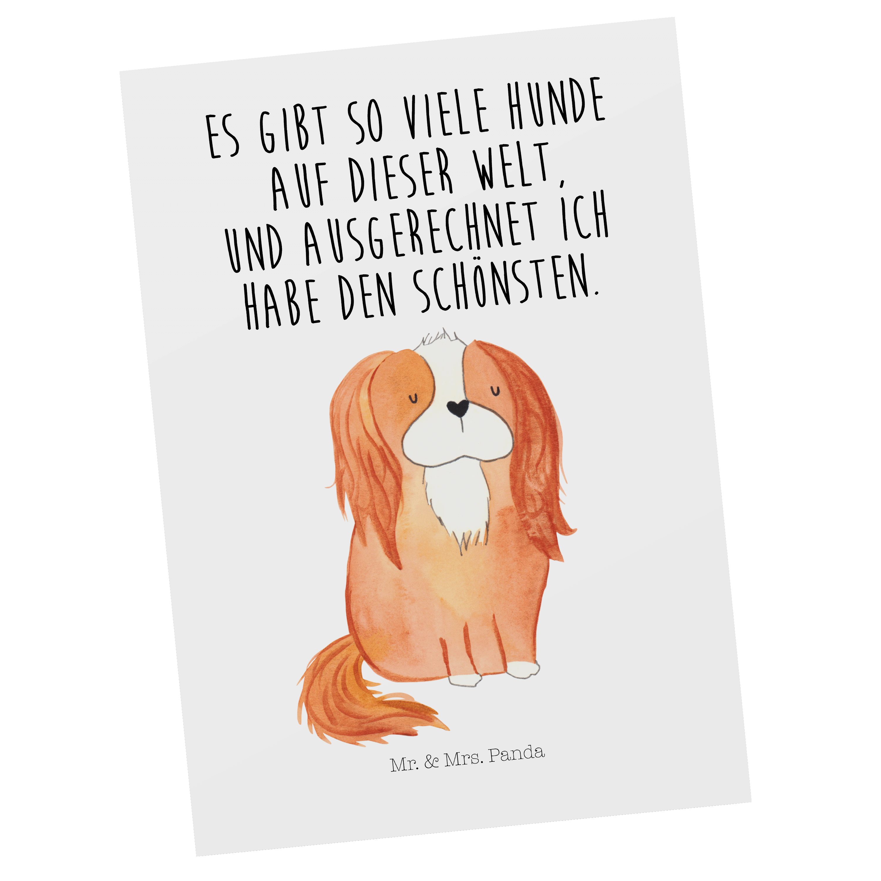 Mr. & Mrs. Panda Postkarte Cavalier King Charles Spaniel - Weiß - Geschenk, Geschenkkarte, Hunde