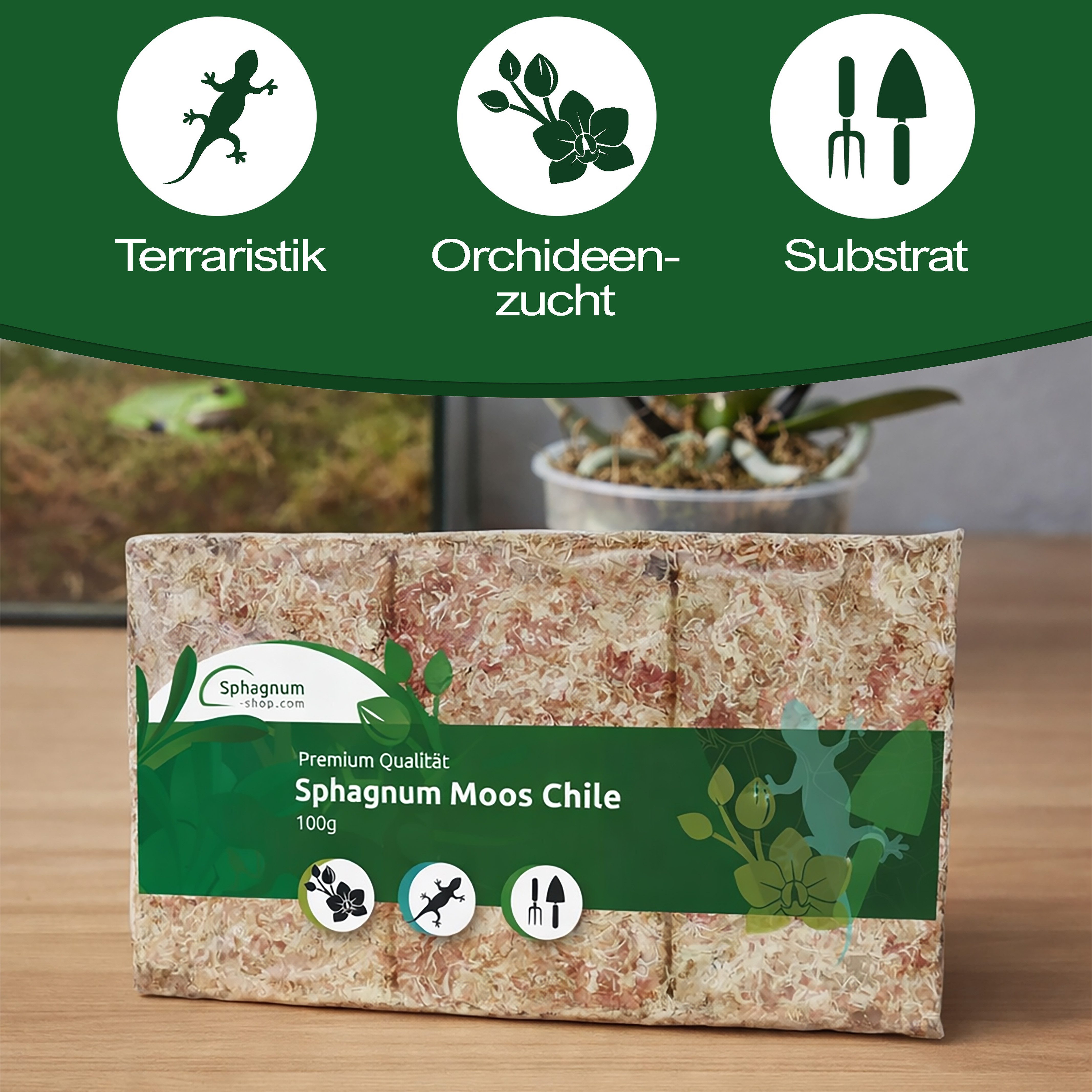 sphagnum-shop.com Terrarien-Substrat Sphagnum Moos Moosziegel aus Chile für Terrarium und Orchideen, Chilenische Premium-Qualität; Ideal für Pflanzenpflege & Terraristik
