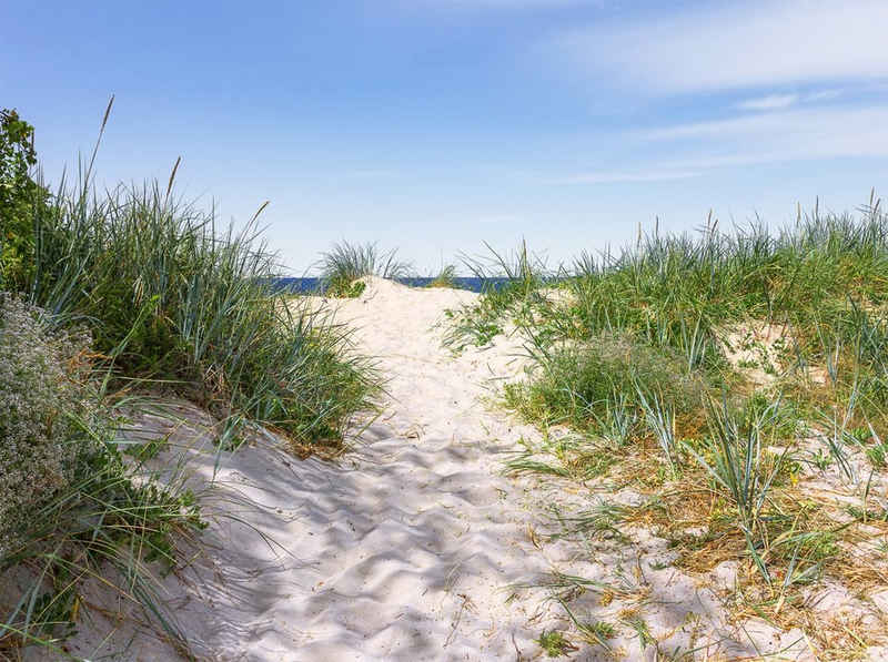 Papermoon Fototapete Dünen in der Ostsee