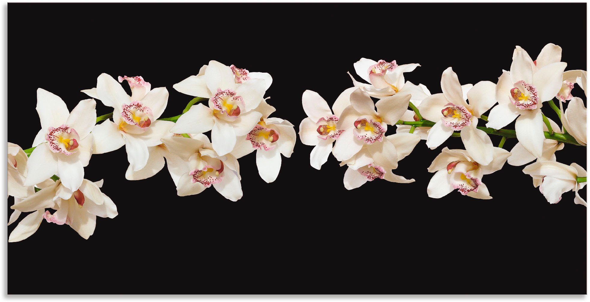 oder versch. Poster in als Leinwandbild, Artland Wandbild Größen St), Orchideen, Weiße Wandaufkleber (1 Blumen Alubild,