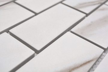 Mosani Mosaikfliesen Keramik Mosaikfliese Mauer Verbund Calacatta weiß graubraun