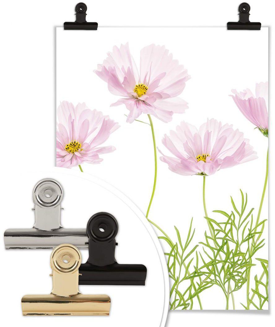St) Wall-Art Sommerblume, Blumen (1 Poster