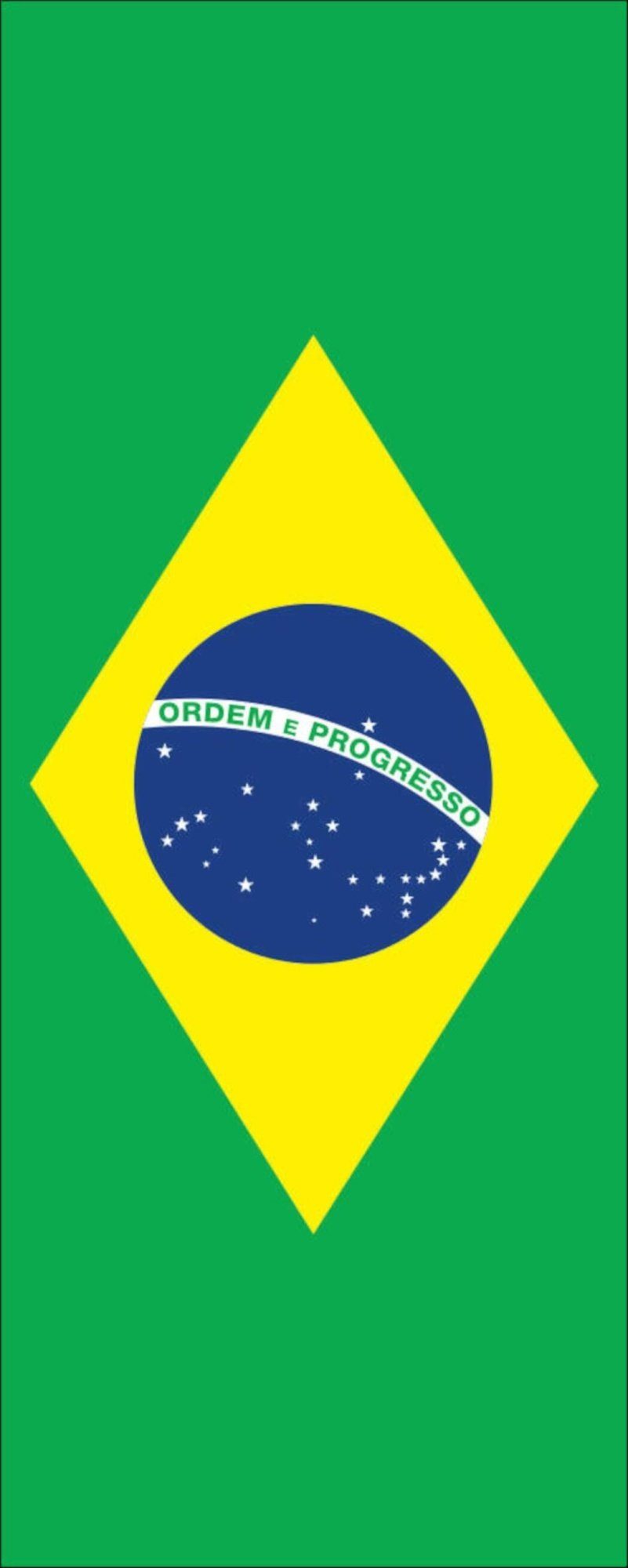 Flagge flaggenmeer 110 Hochformat Flagge g/m² Brasilien