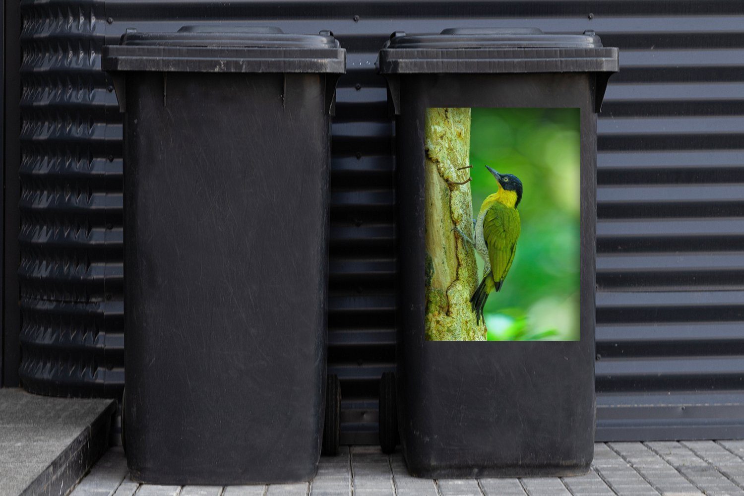 MuchoWow Wandsticker Ein prächtiger Platzwart mit auf Fell einen senkrecht Mülleimer-aufkleber, gelbem Container, Abfalbehälter St), klettert Sticker, (1 Mülltonne