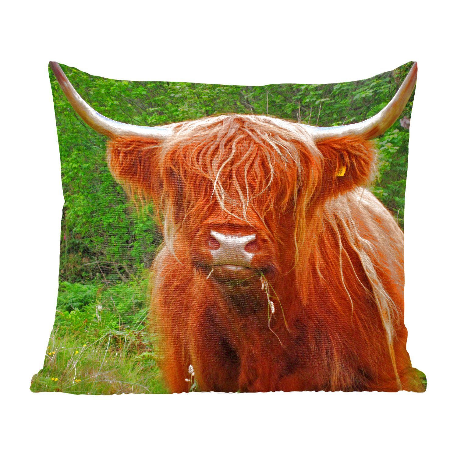MuchoWow Dekokissen Schottischer Highlander - Kuh - Gras, Zierkissen mit Füllung für Wohzimmer, Schlafzimmer, Deko, Sofakissen