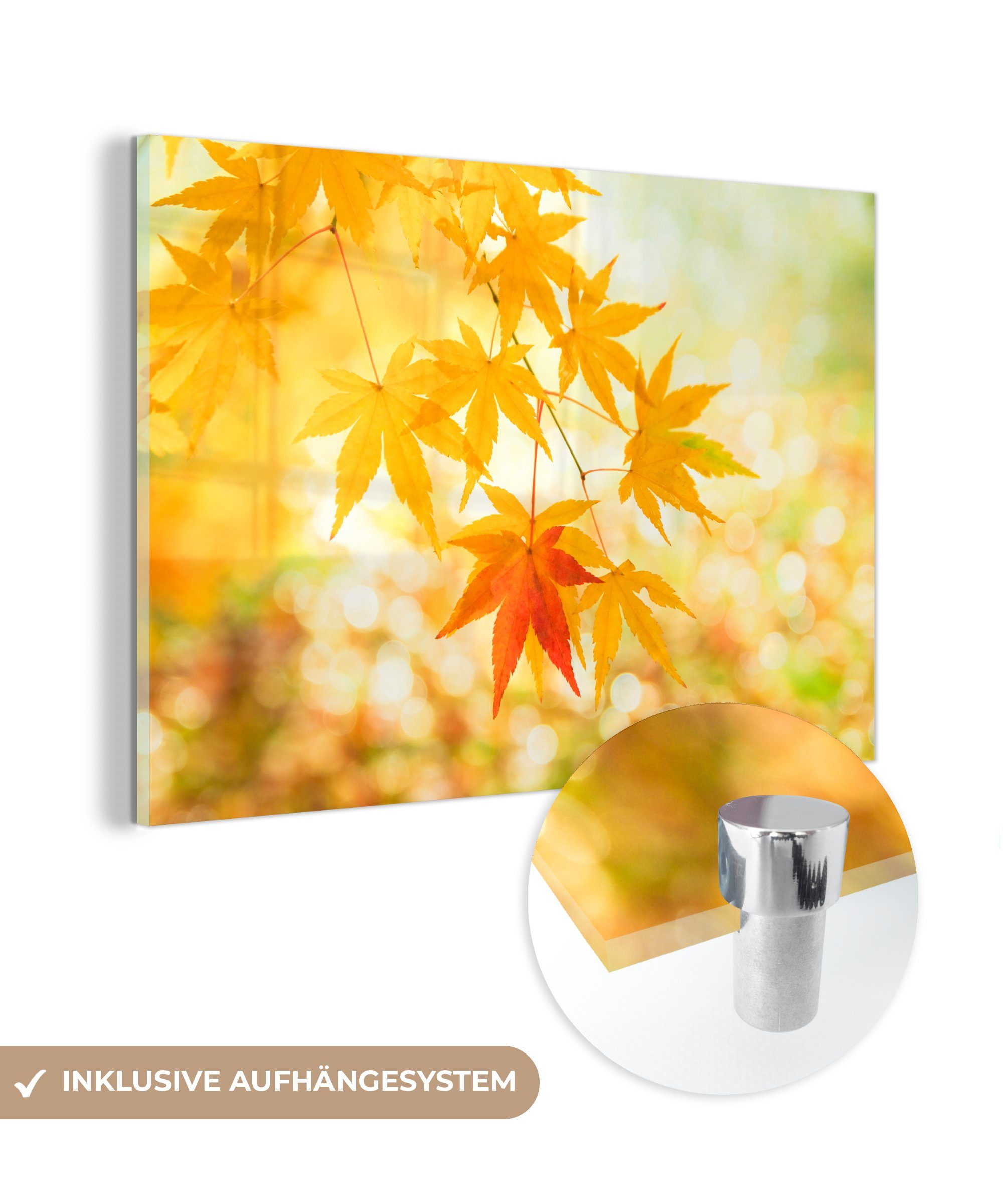 MuchoWow Acrylglasbild Blätter des japanischen Ahorns im Herbst, (1 St), Acrylglasbilder Wohnzimmer & Schlafzimmer
