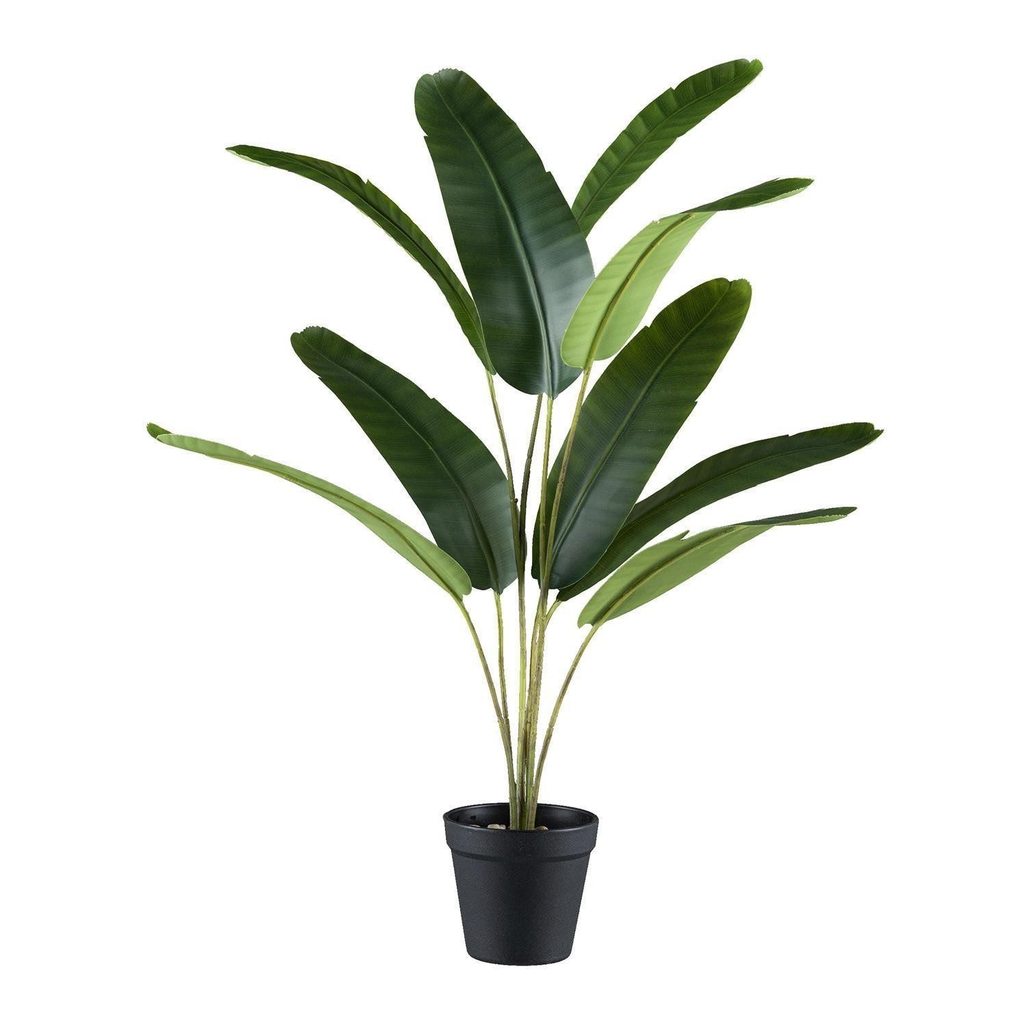 Kunstpflanze Mini-Bananenpflanze BANA, Grün, Kunststoff, Bananenpflanze, Gasper, Höhe 65 cm, mit schwarzem Kunststofftopf