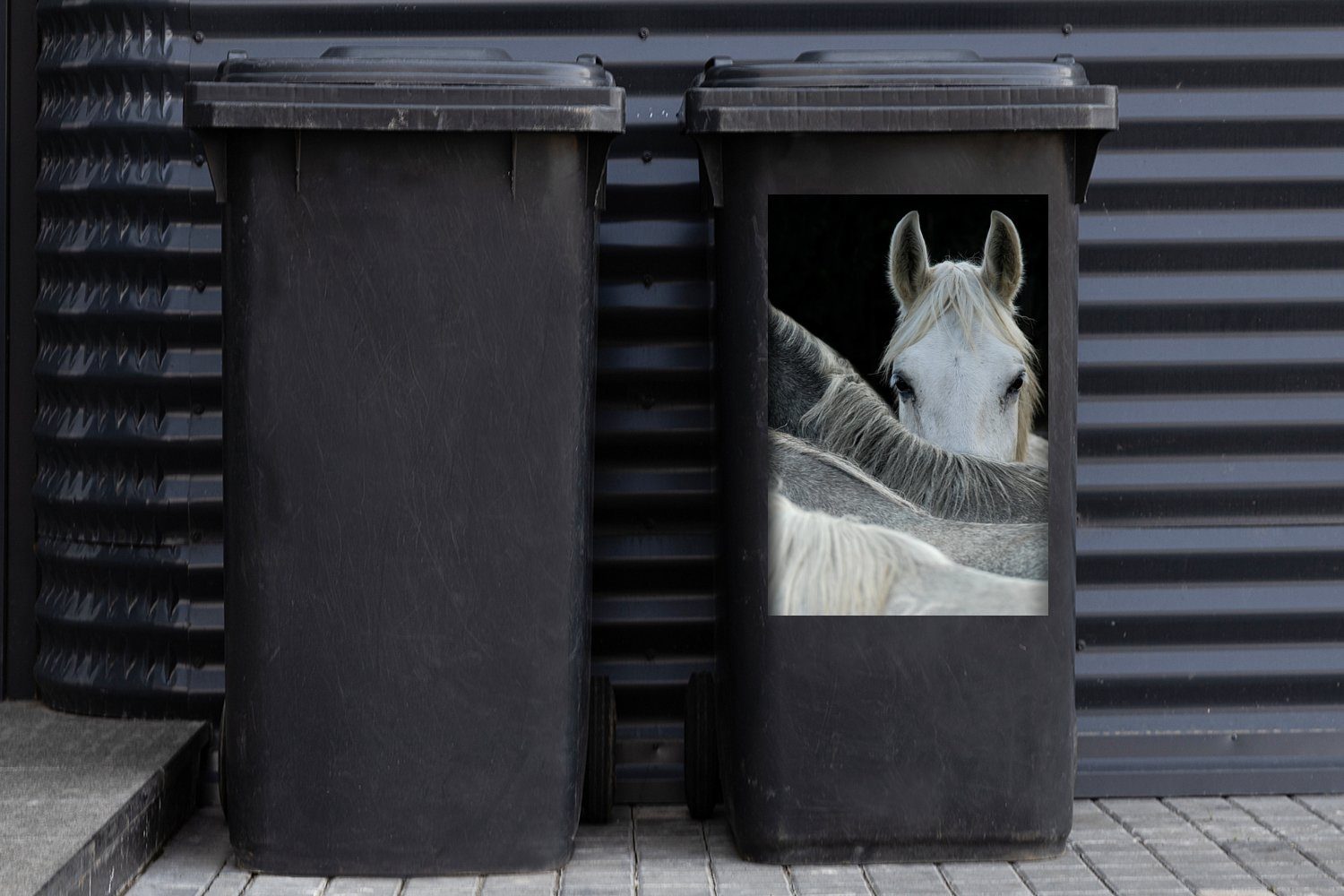 MuchoWow - Sticker, Schwarz - (1 - St), Weiß Tiere Abfalbehälter Mülleimer-aufkleber, Container, Wandsticker Pferde Mülltonne,