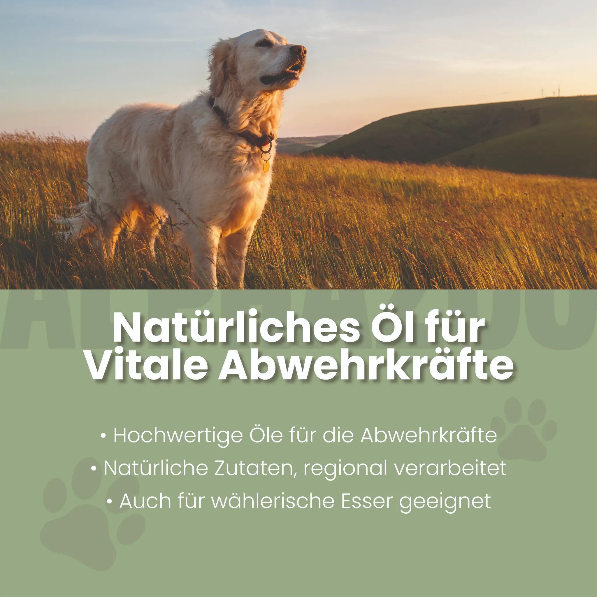 ALPHAZOO Alpha-Immun Futteröl für Hunde 500ml Immunsystem I Immun, Ergänzungsfutter für: Hunde