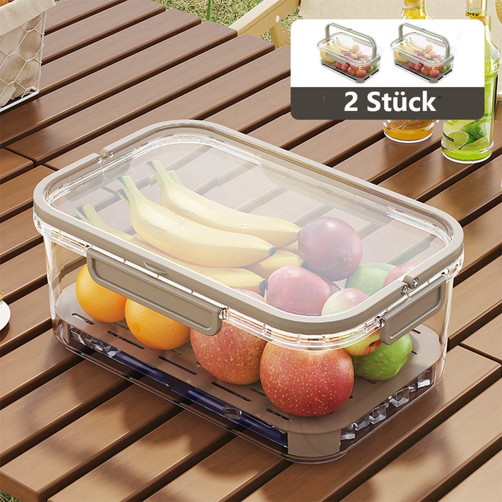 PFCTART Aufbewahrungsbox 2 Stück Obst Organizer Für Kühlschrank, Durchsichtig Kühlschrank Boxen (Camping Outdoor Tragbare Kühlbox, 25 X 16,5 X 11,5 cm), Aufbewahrungsbehälter Mit Abtropfkorb Deckel Und Abnehmbarem Griff