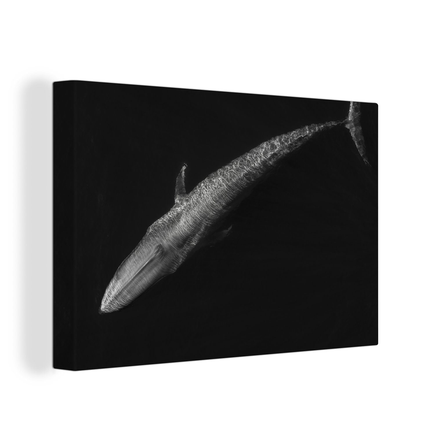 OneMillionCanvasses® Leinwandbild Blauwal - Schwarz - Weiß, (1 St), Wandbild Leinwandbilder, Aufhängefertig, Wanddeko, 30x20 cm