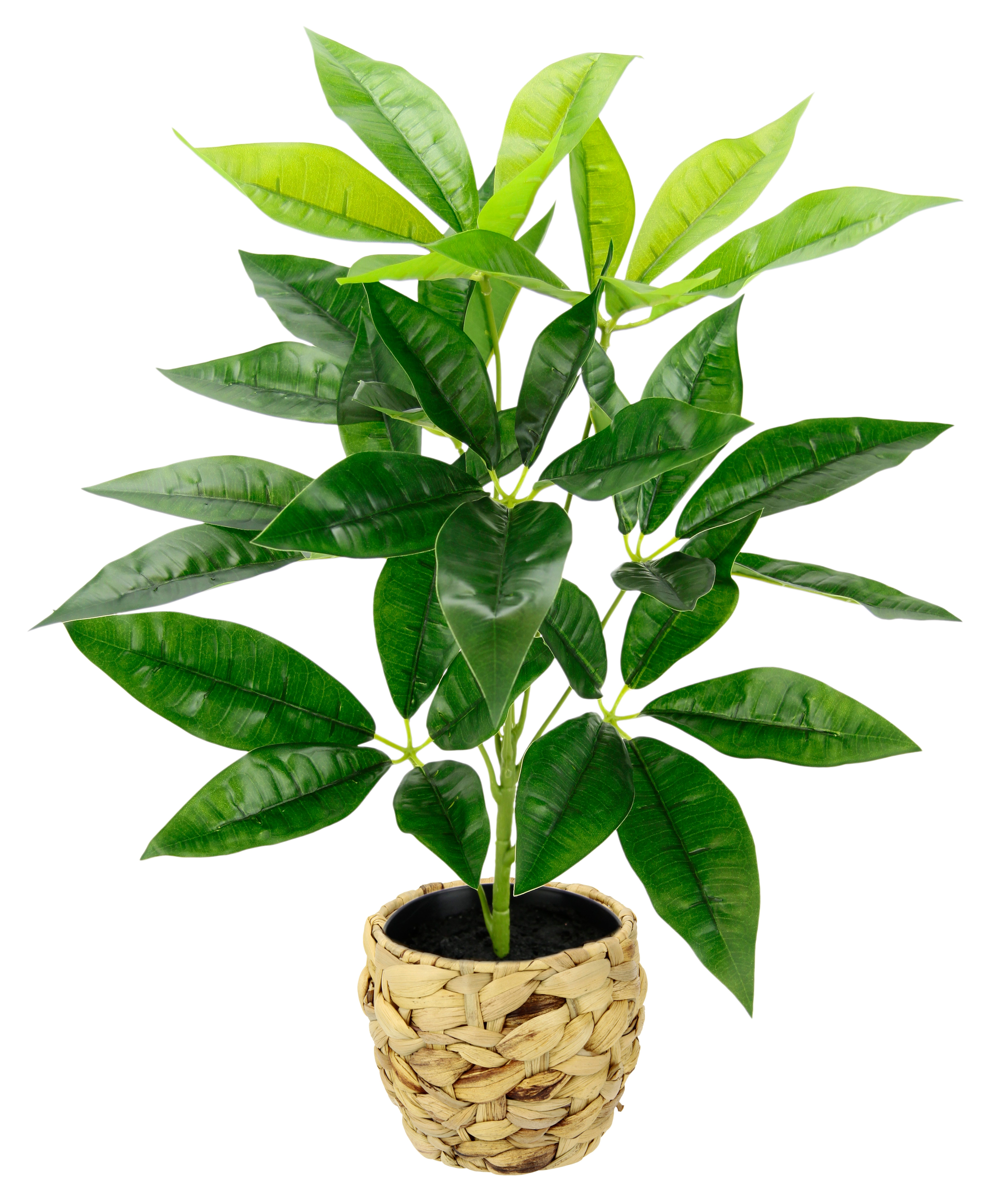 Kunstpflanze Schefflera, I.GE.A., Höhe 48 cm, Mit Übertopf Künstliche Seide günstig online kaufen