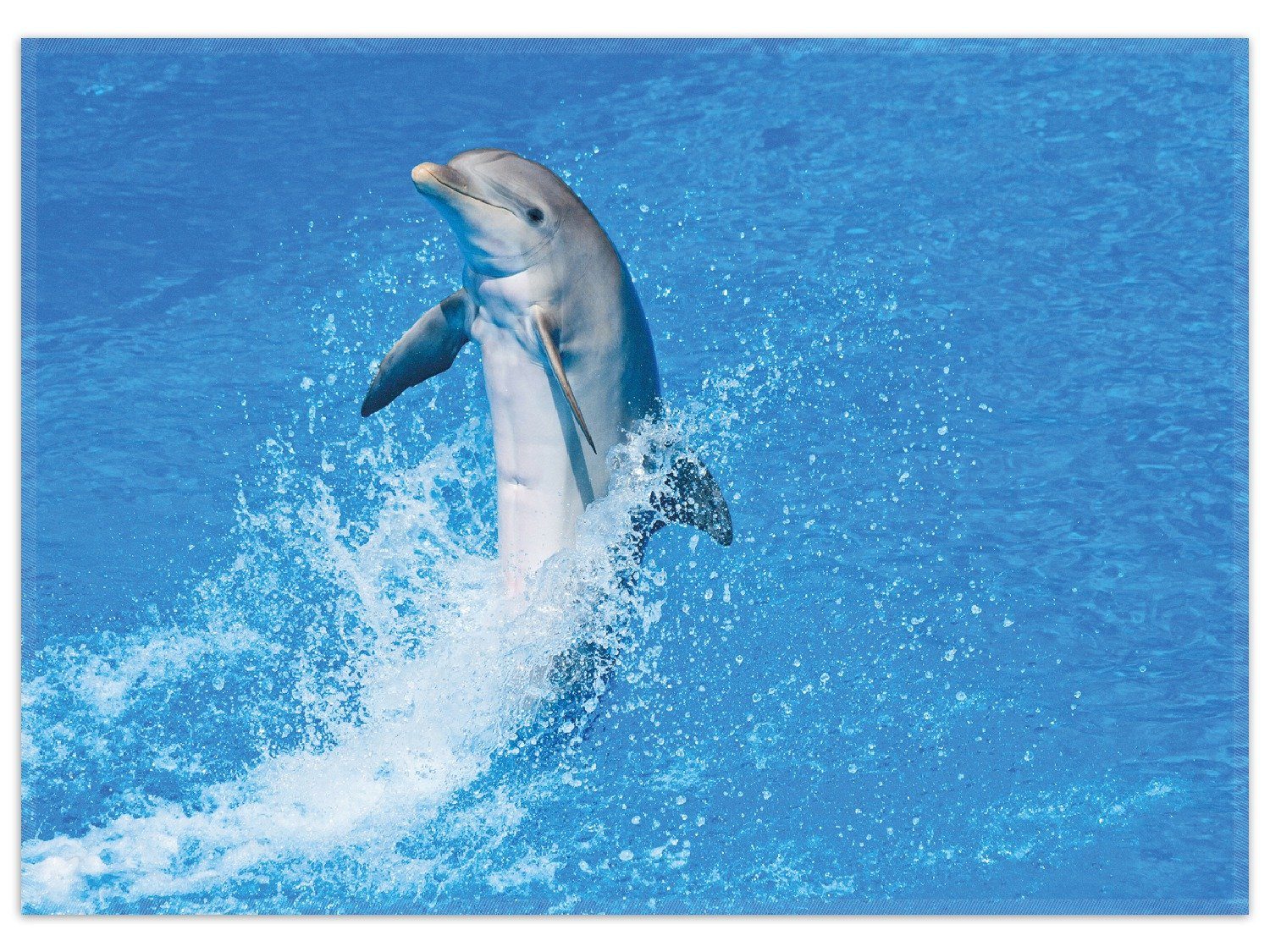 Wallario Teppich Fröhlicher Delfin im blauen Wasser, rechteckig, rutschfest