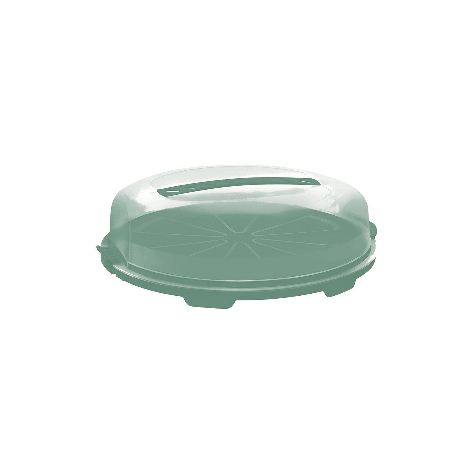 ROTHO Aufbewahrungssystem FRESH Tortenglocke mit flache Haube und Tragegriff