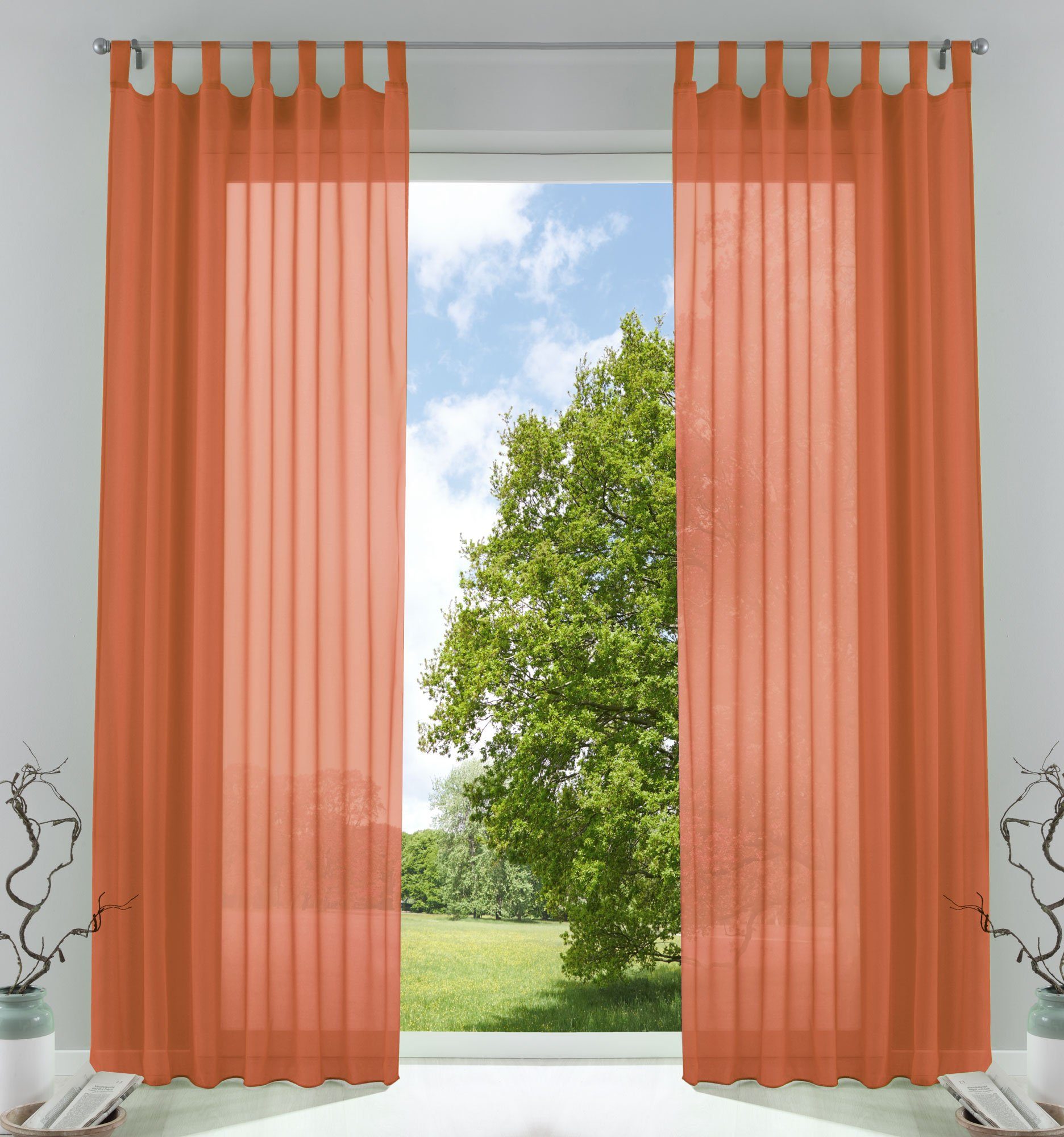Gardinenbox Gardine, Schlaufen (2 St), transparent, günstig online kaufen