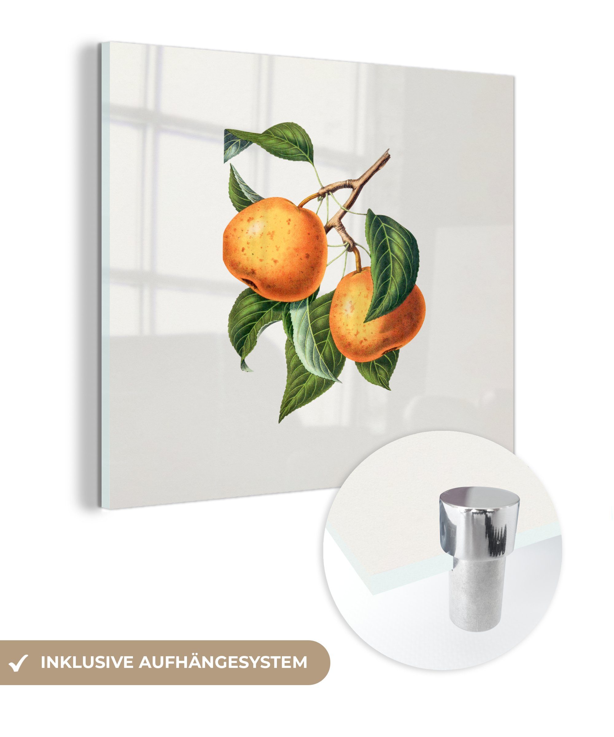 Obst - Acrylglasbild (1 Glasbilder Orange St), Wanddekoration Bilder - Foto Glas - - auf Jahrgang, auf Glas MuchoWow - Wandbild