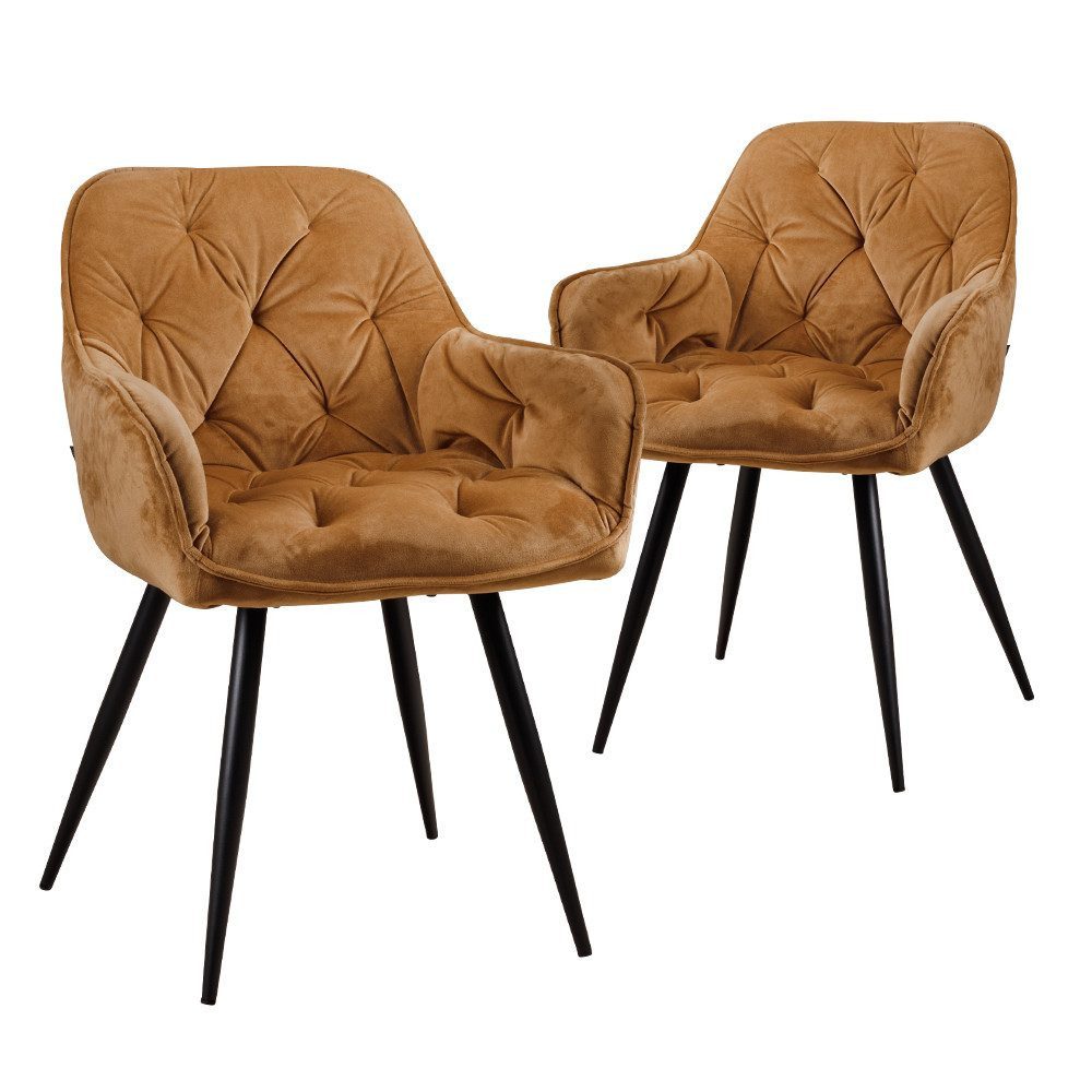 AVISSIMO Polsterstuhl Polsterstuhl PS-0251 (2er Set)