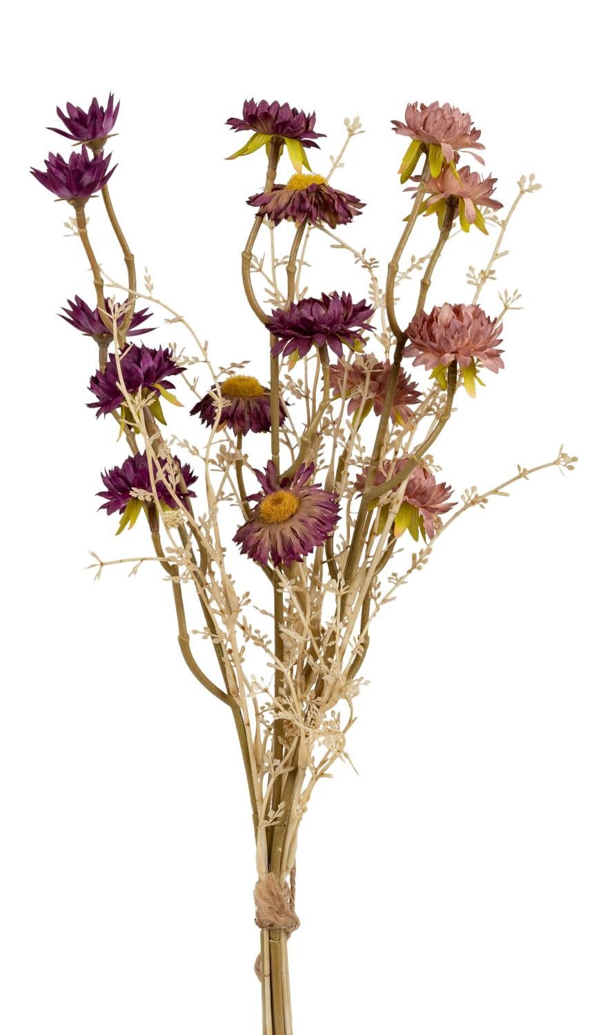 Trockenblume, formano, Höhe 52 cm, Farbe: Mehrfarbig, Motiv: Strohblumen günstig online kaufen