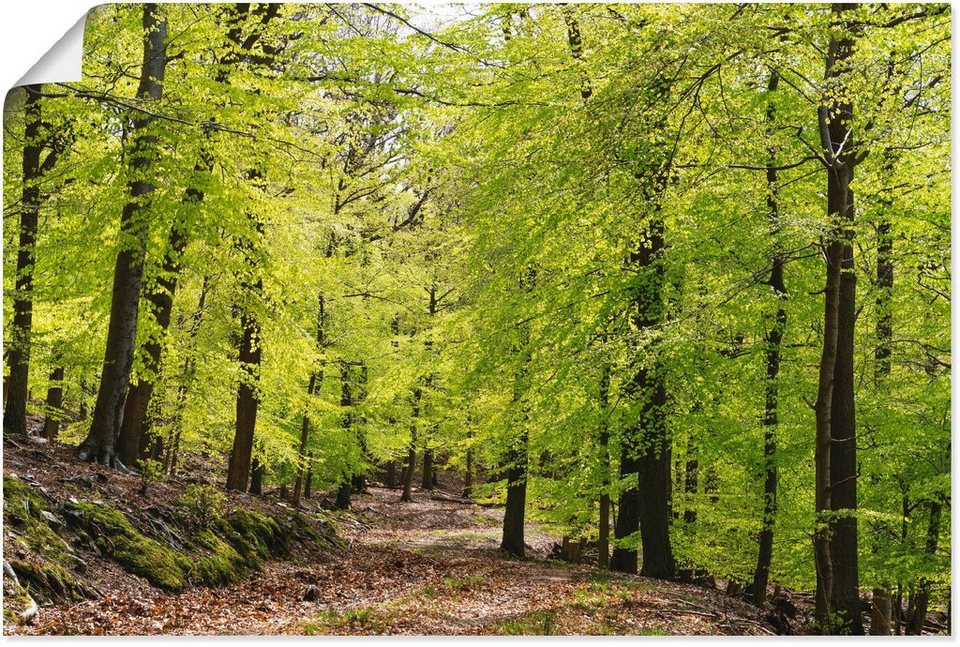 Zwergin Vollbusige Wald Kuessen