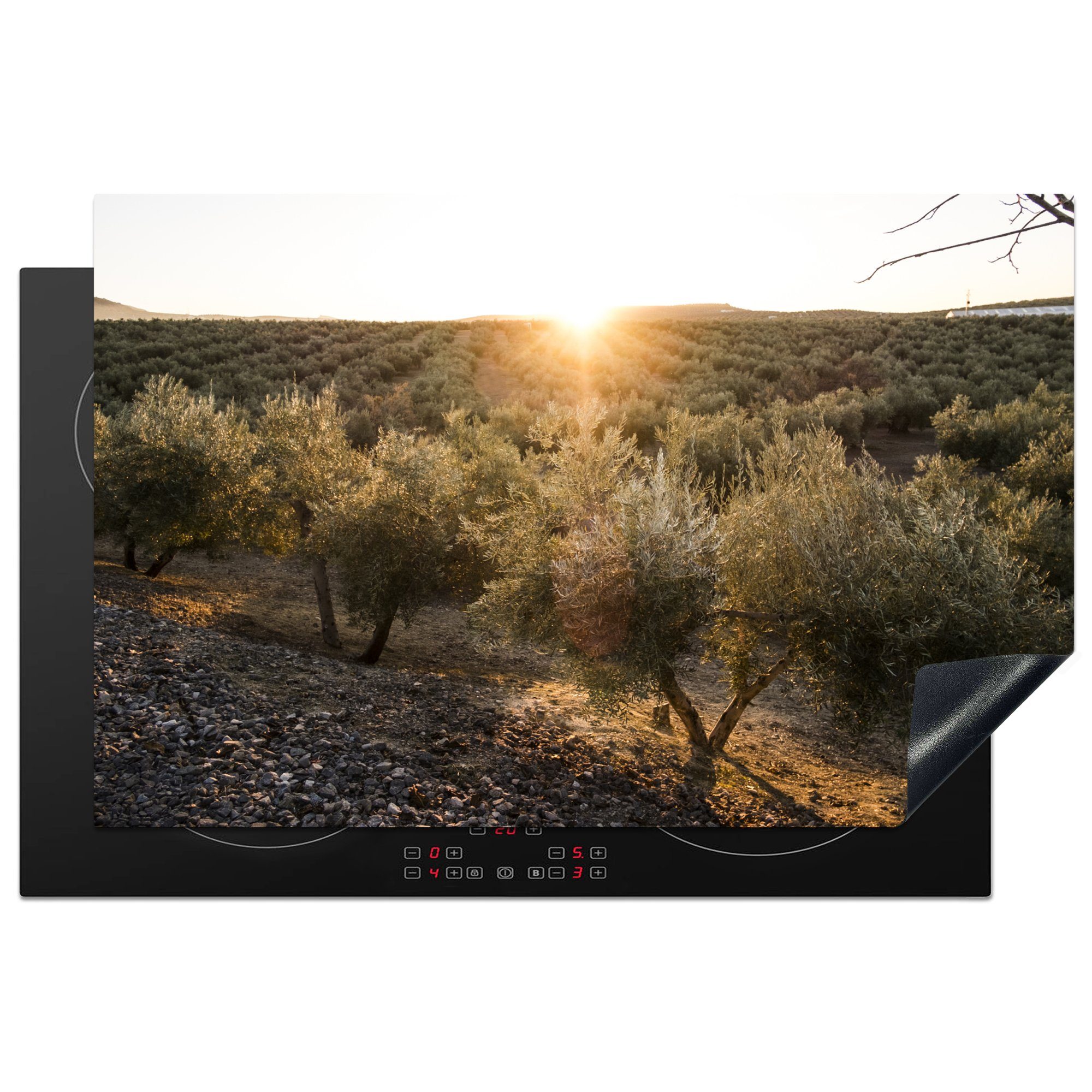 MuchoWow Herdblende-/Abdeckplatte Sonnenuntergang über dem Olivenhain, Vinyl, (1 tlg), 81x52 cm, Induktionskochfeld Schutz für die küche, Ceranfeldabdeckung