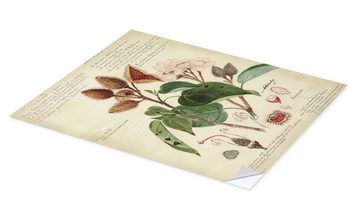 Posterlounge Wandfolie A. Descubes, Botanik V, Wohnzimmer Vintage Illustration